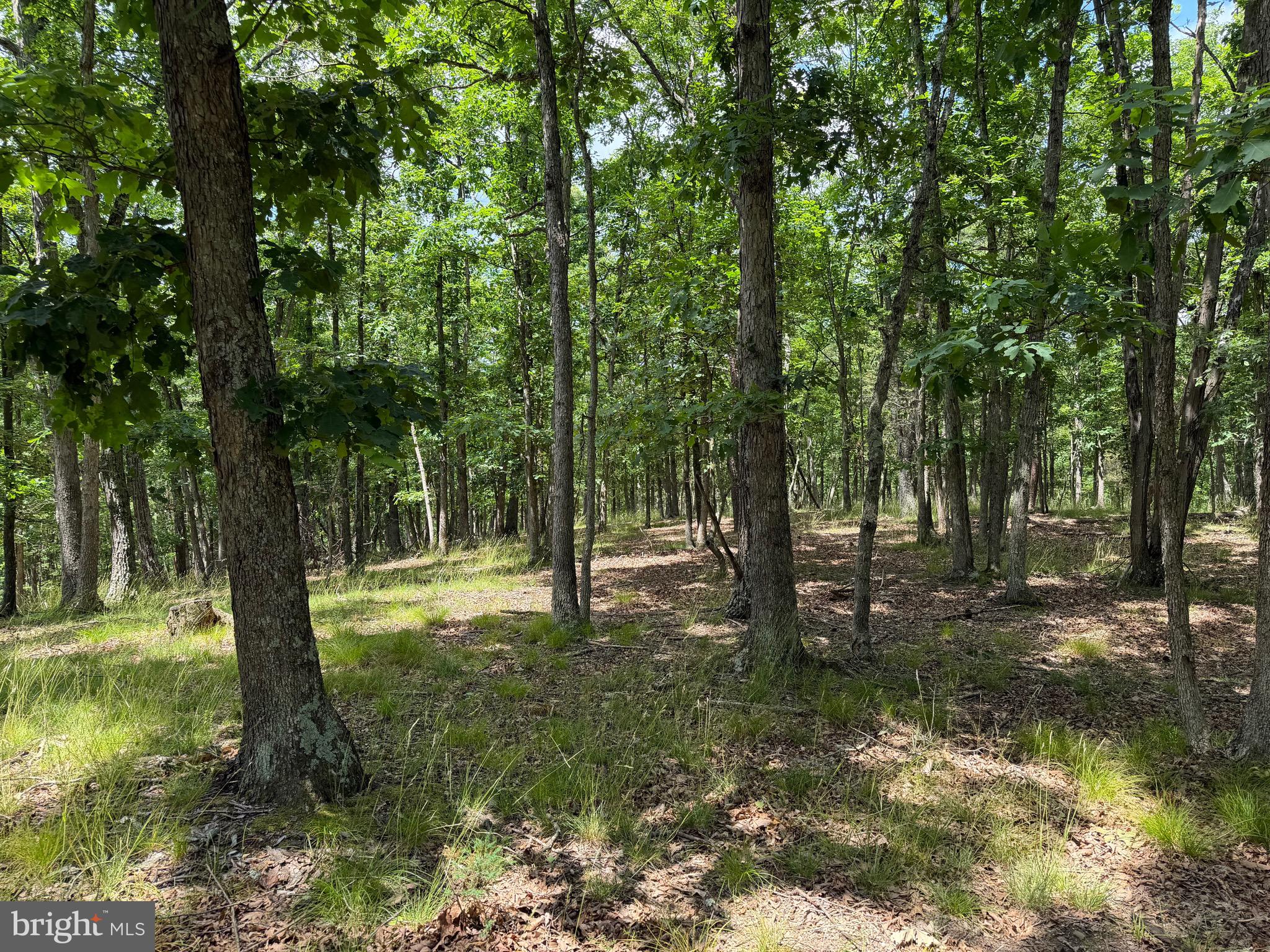 00 HEADSVILLE RD