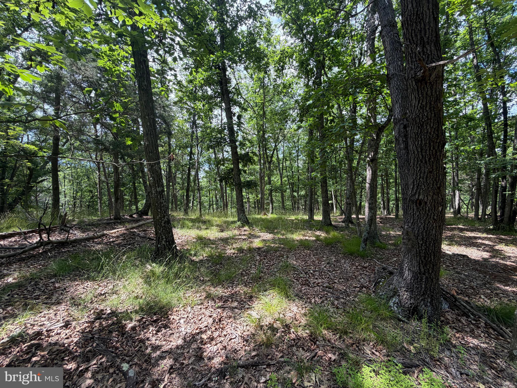 00 HEADSVILLE RD