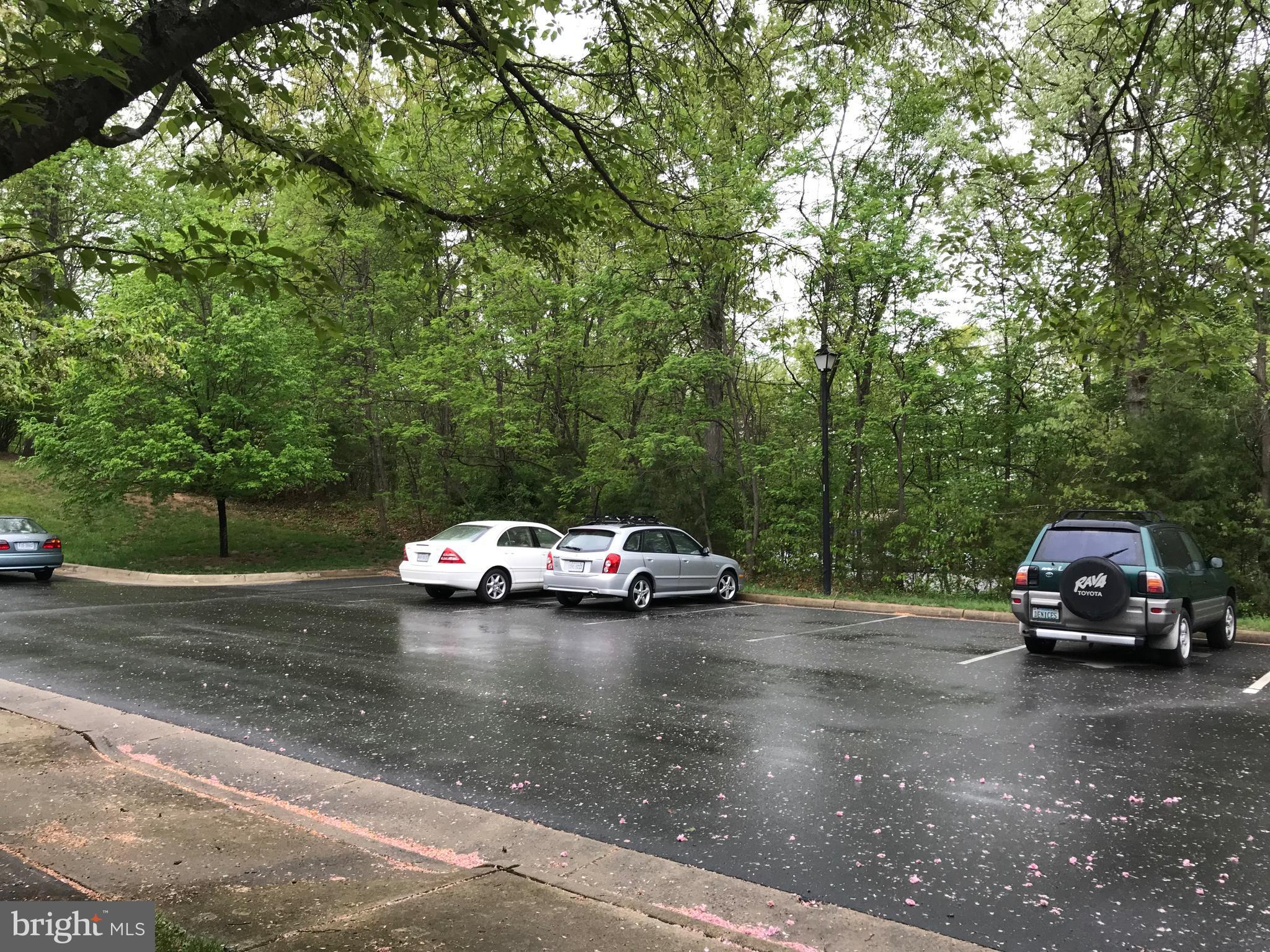 KINCAID FOREST - Residential