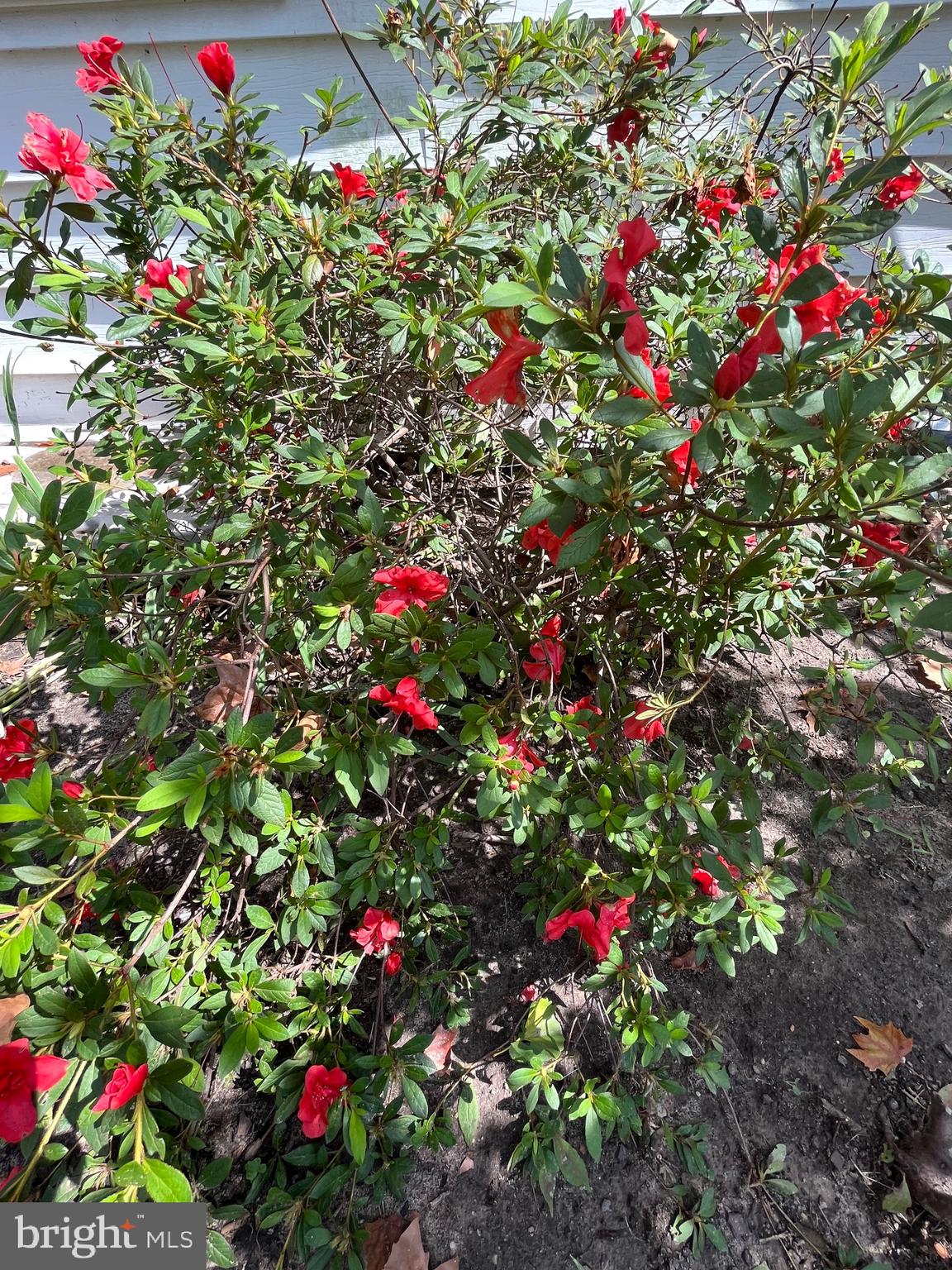 TOWN OF CENTREVILLE - Residential