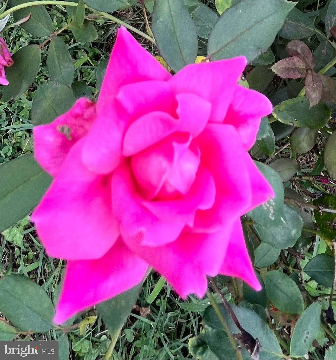 TOWN OF CENTREVILLE - Residential