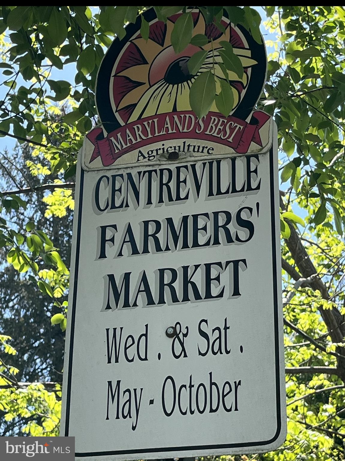 TOWN OF CENTREVILLE - Residential