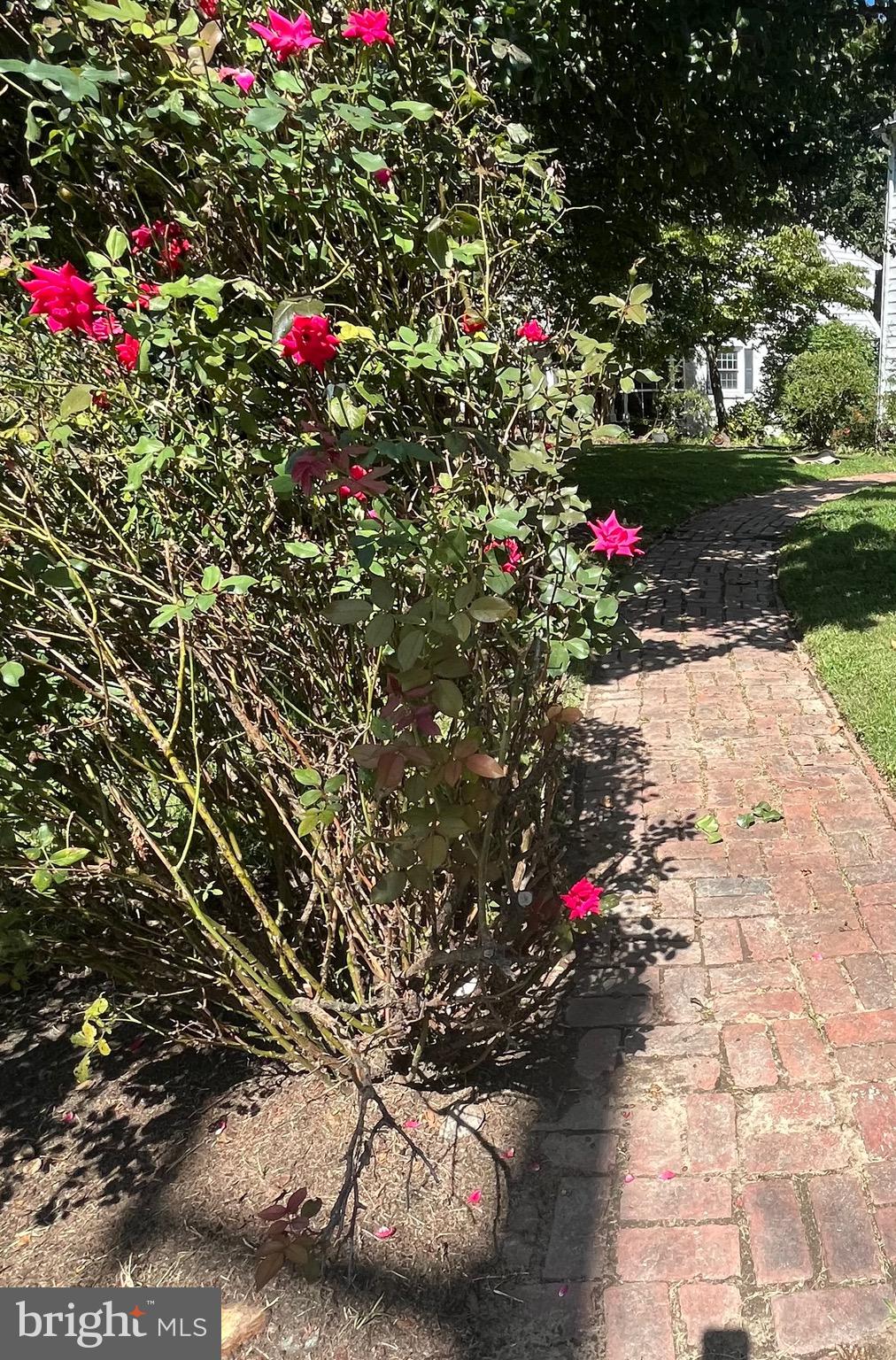 TOWN OF CENTREVILLE - Residential