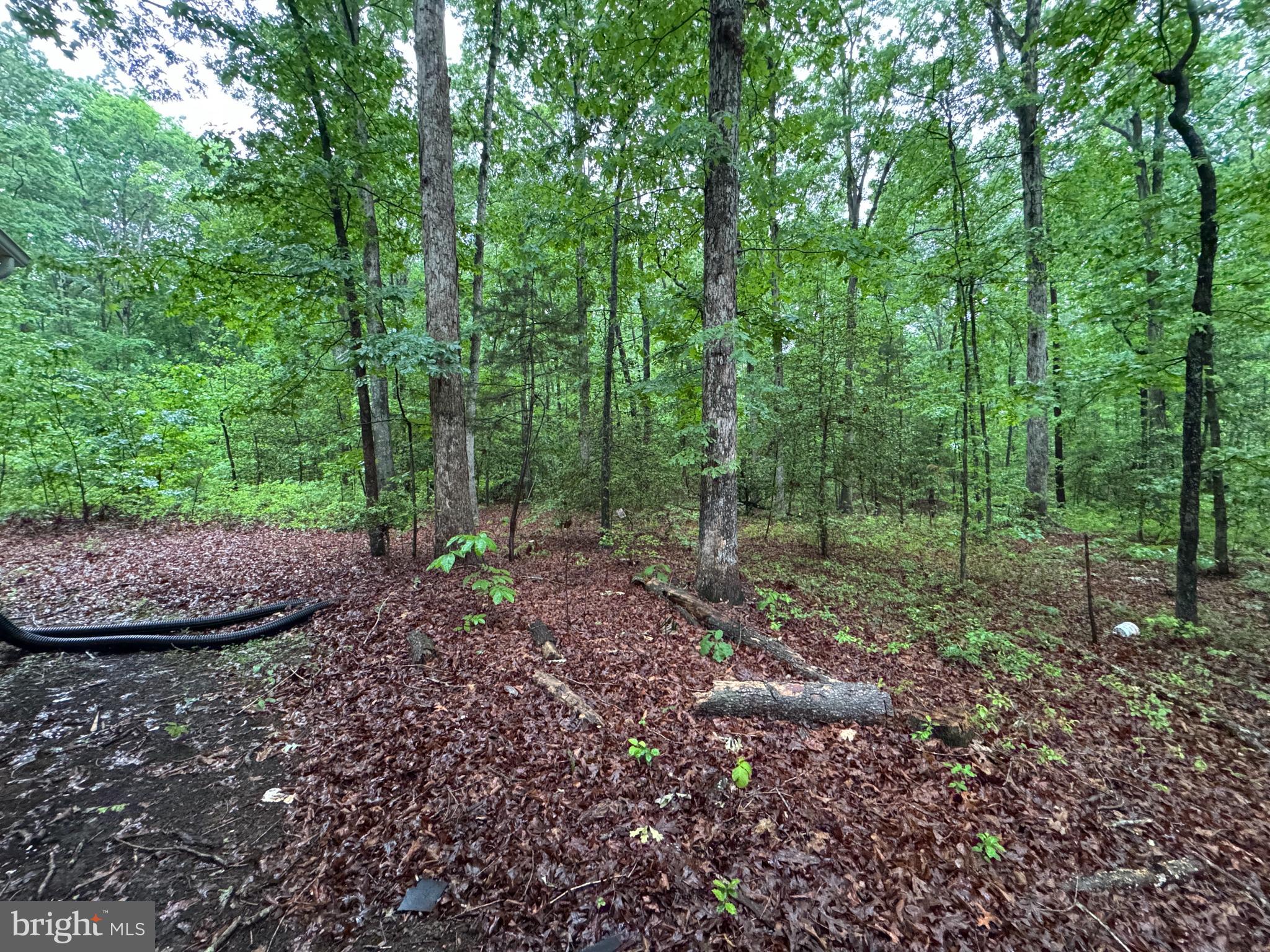 LADYSMITH - Residential