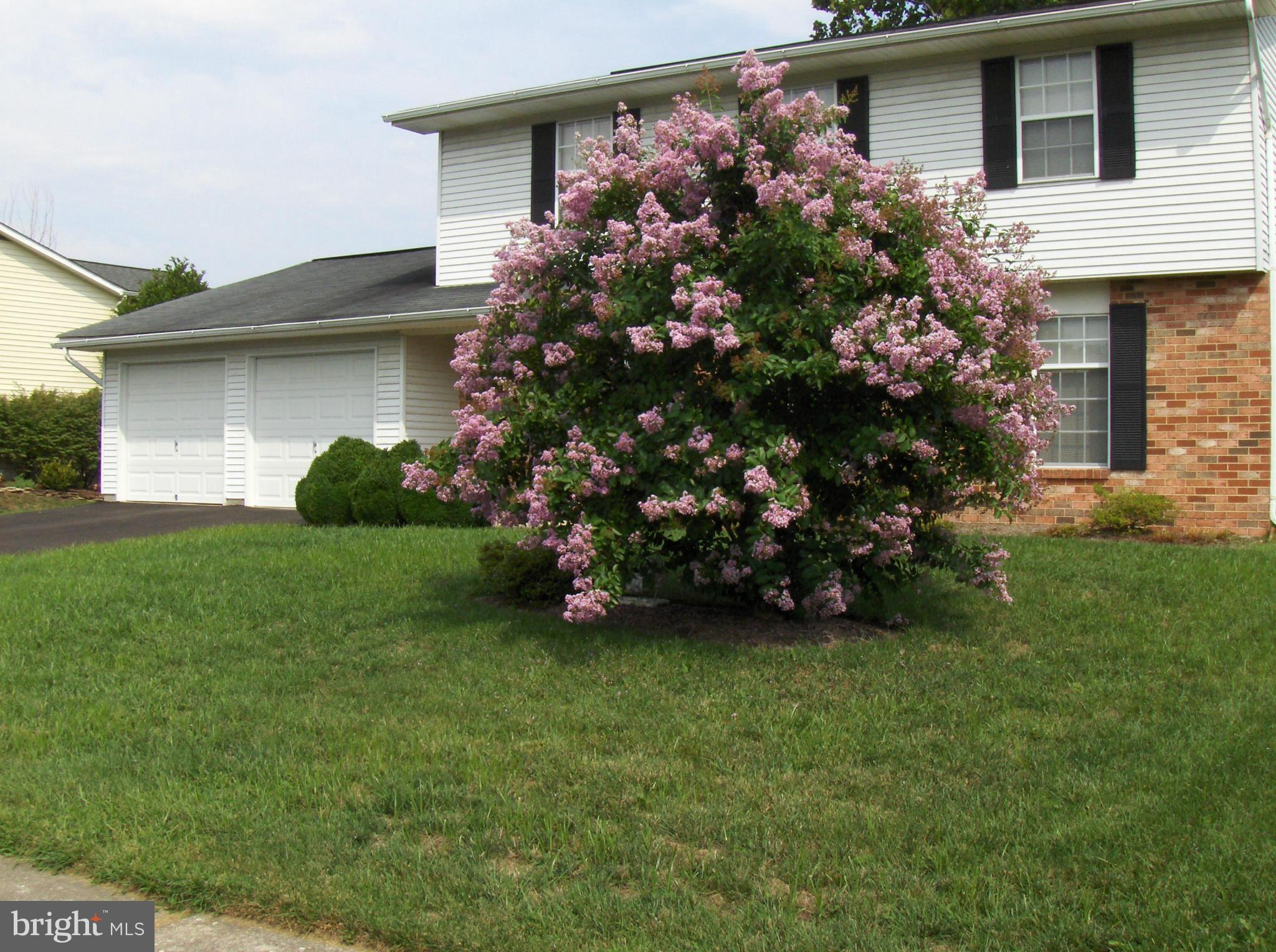 NEW CUT FARMS - Residential