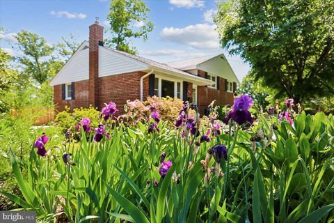 Tiny photo for 10701 Brunswick Avenue, KENSINGTON, MD 20895 (MLS # MDMC2233452)