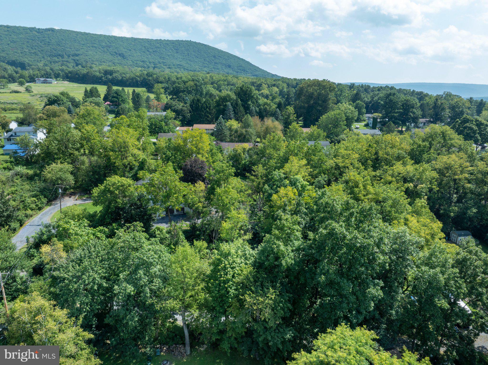 LIMEROCK TERRACE