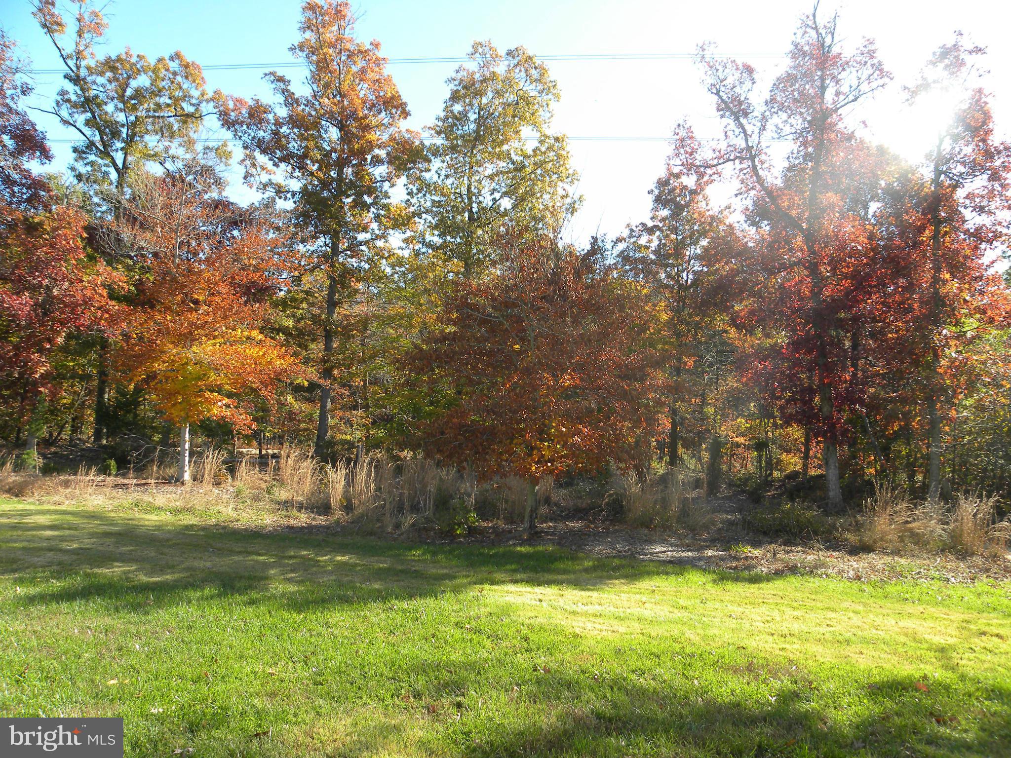HUDELSONS FOREST - Residential