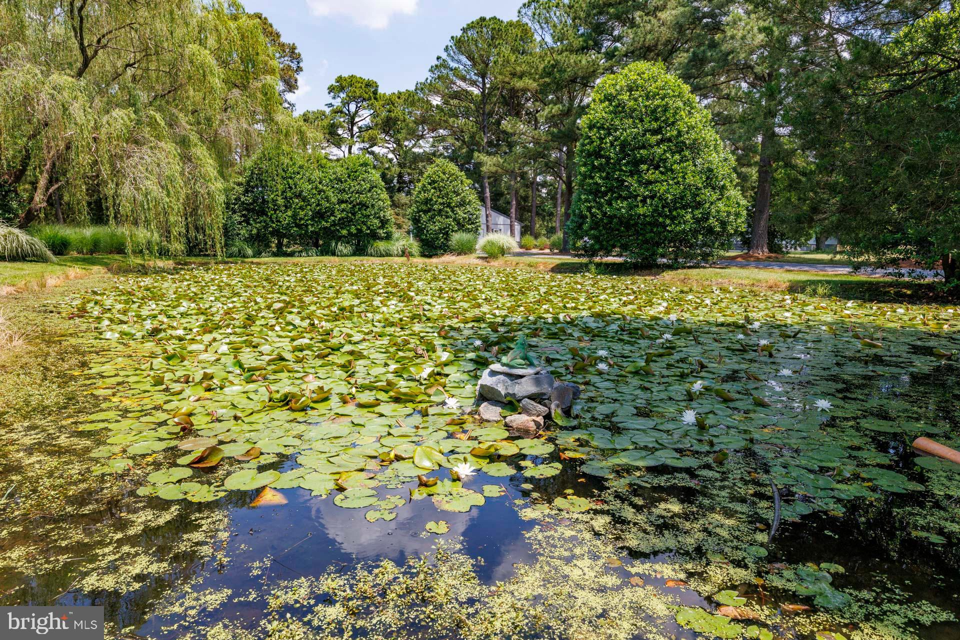 ROYAL OAK - Residential