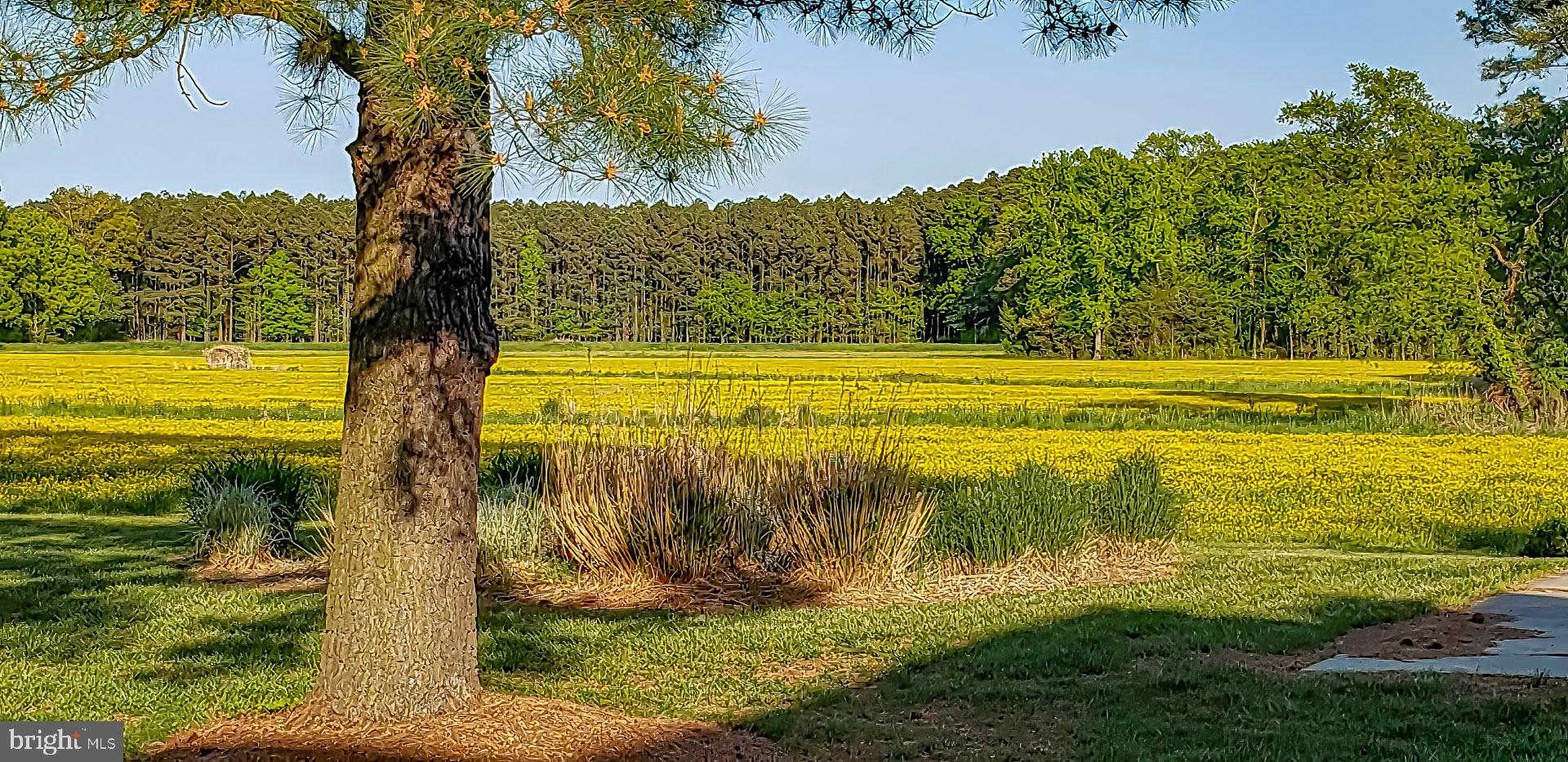 ROYAL OAK - Residential