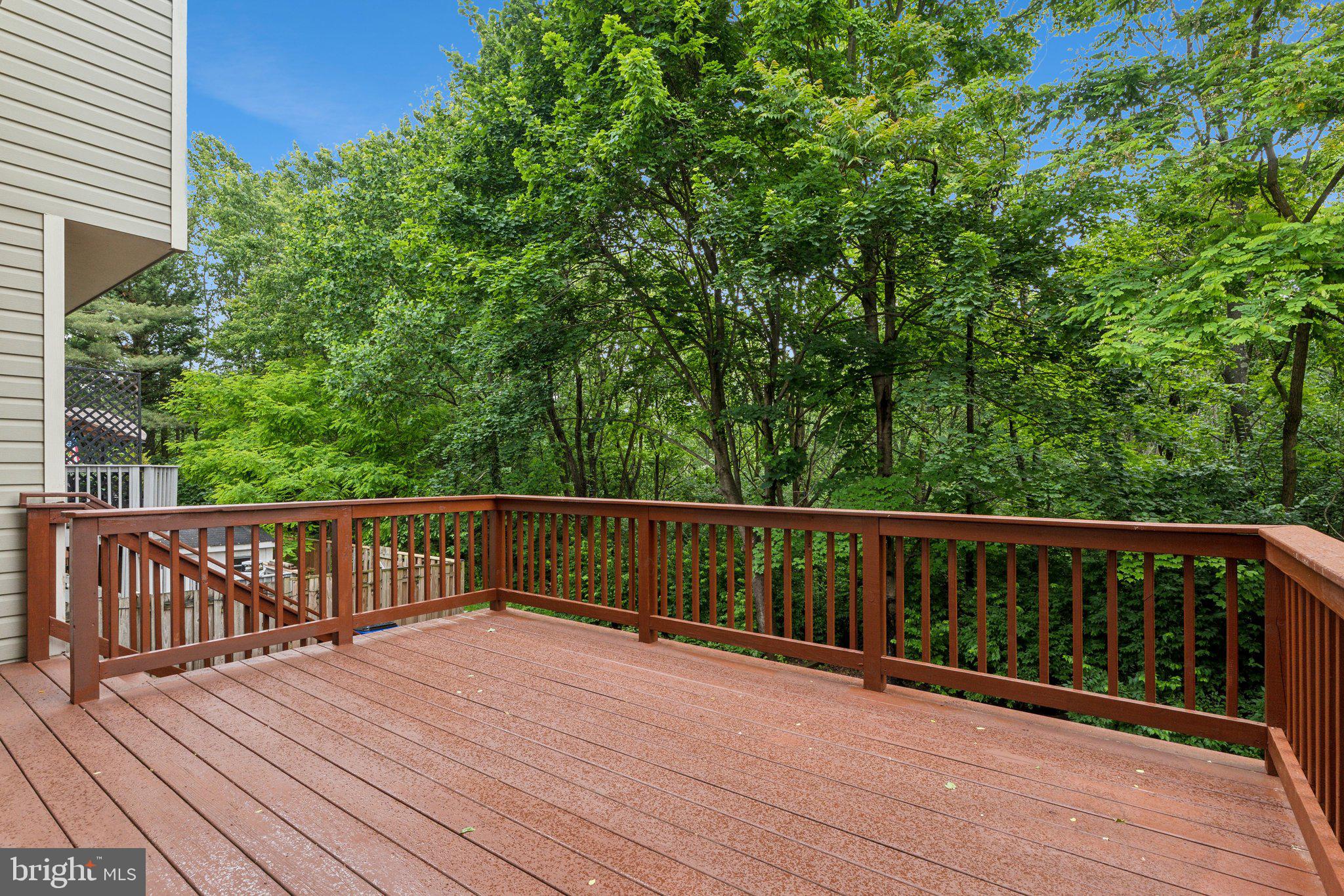 STUART MECHANIC - Residential Lease