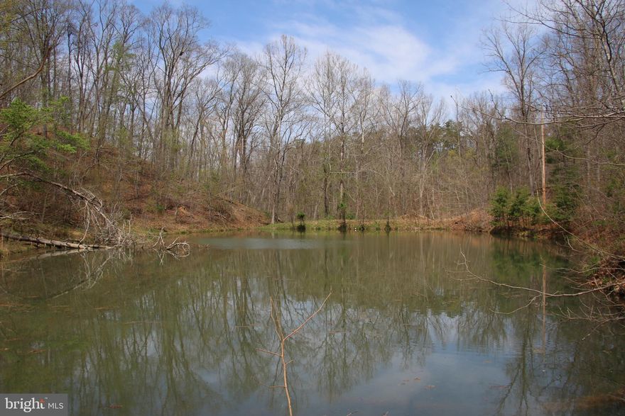 Own a piece of the beautiful Back Creek Heights community in Cross Junction. Located just minutes north of Winchester in the Dehaven part of the county. Access is secured via road frontage on Hodges Lane. Experience exciting hunting as many types of wildlife call this property home including deer, turkey, and many small game species. This tract is currently being used for recreation and hunting. A charming pond adds to the beauty and character of this land. Stellar views of the surrounding countryside are attainable with some tree clearing. This property features mildly sloping topography and a wet weather stream. Remote, fully wooded, and zoned Rural Areas (RA). No covenants, no restrictions, and no HOA! Enjoy hiking, camping, and recreation of all types on this land. A short drive from all the amenities and attractions Winchester has to offer. 

***Additional adjoining acreage available for purchase. See aerials for details.***