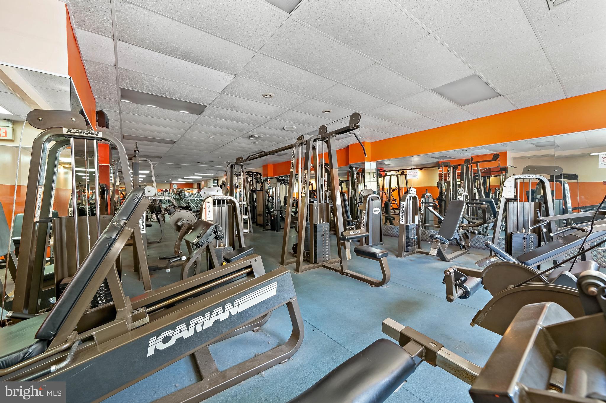 QUEEN VILLAGE - Commercial Sale