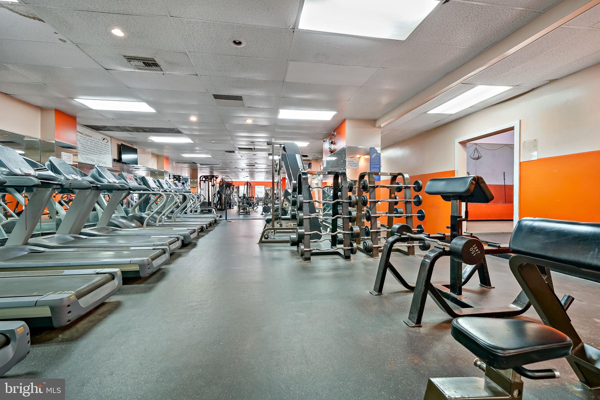 QUEEN VILLAGE - Commercial Sale