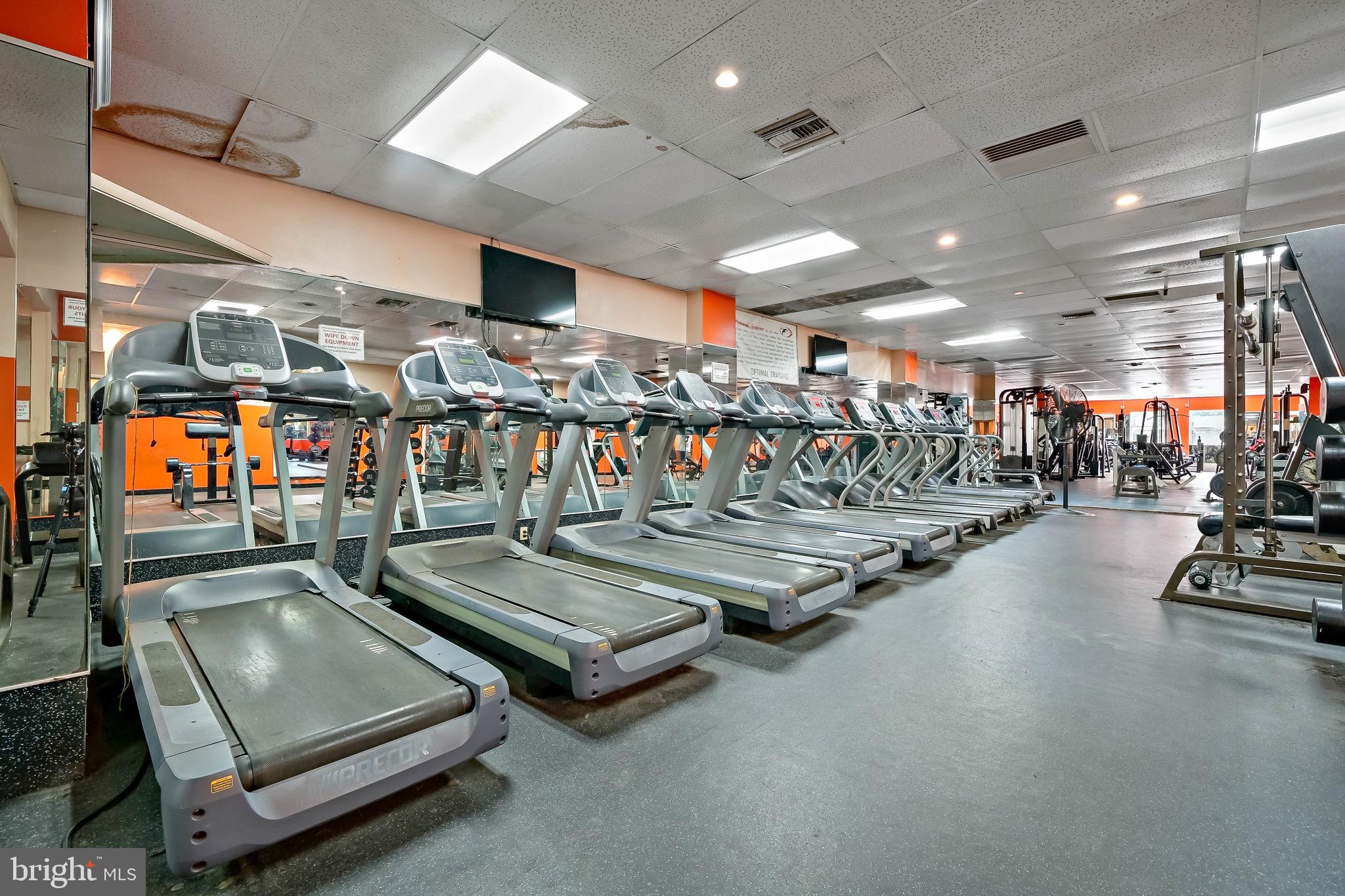QUEEN VILLAGE - Commercial Sale