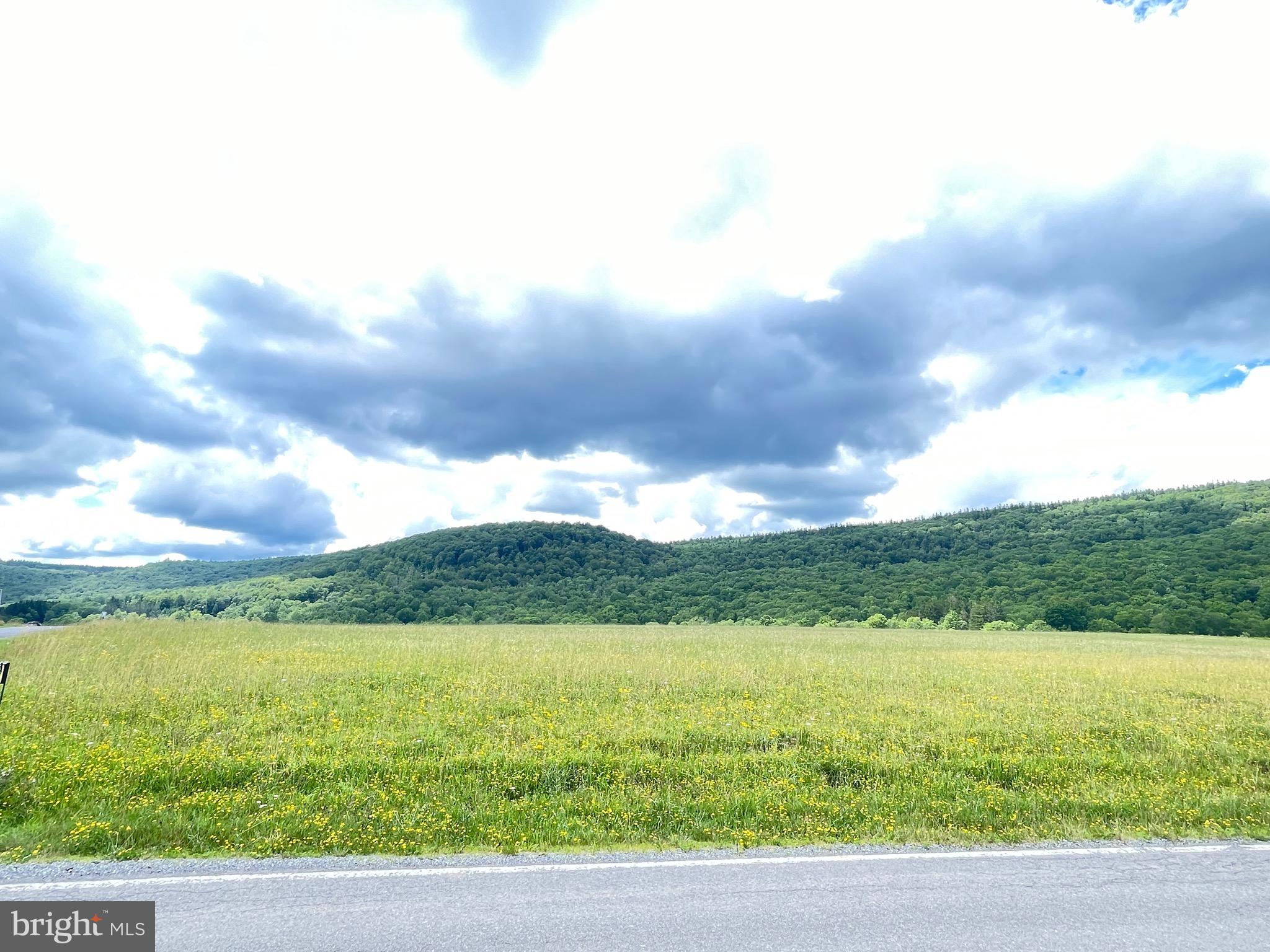 14 ACRES CORTLAND ROAD