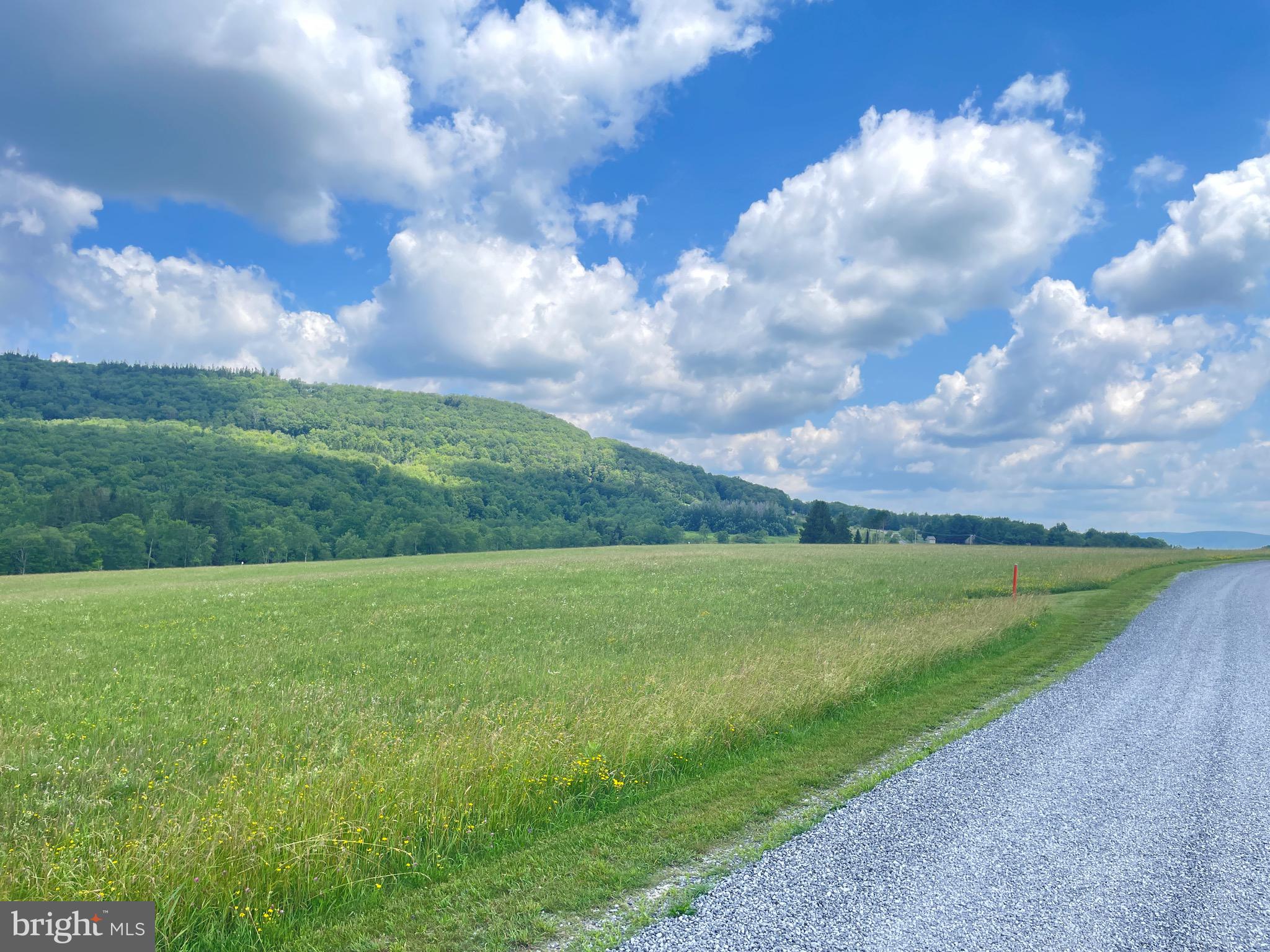 14 ACRES CORTLAND ROAD