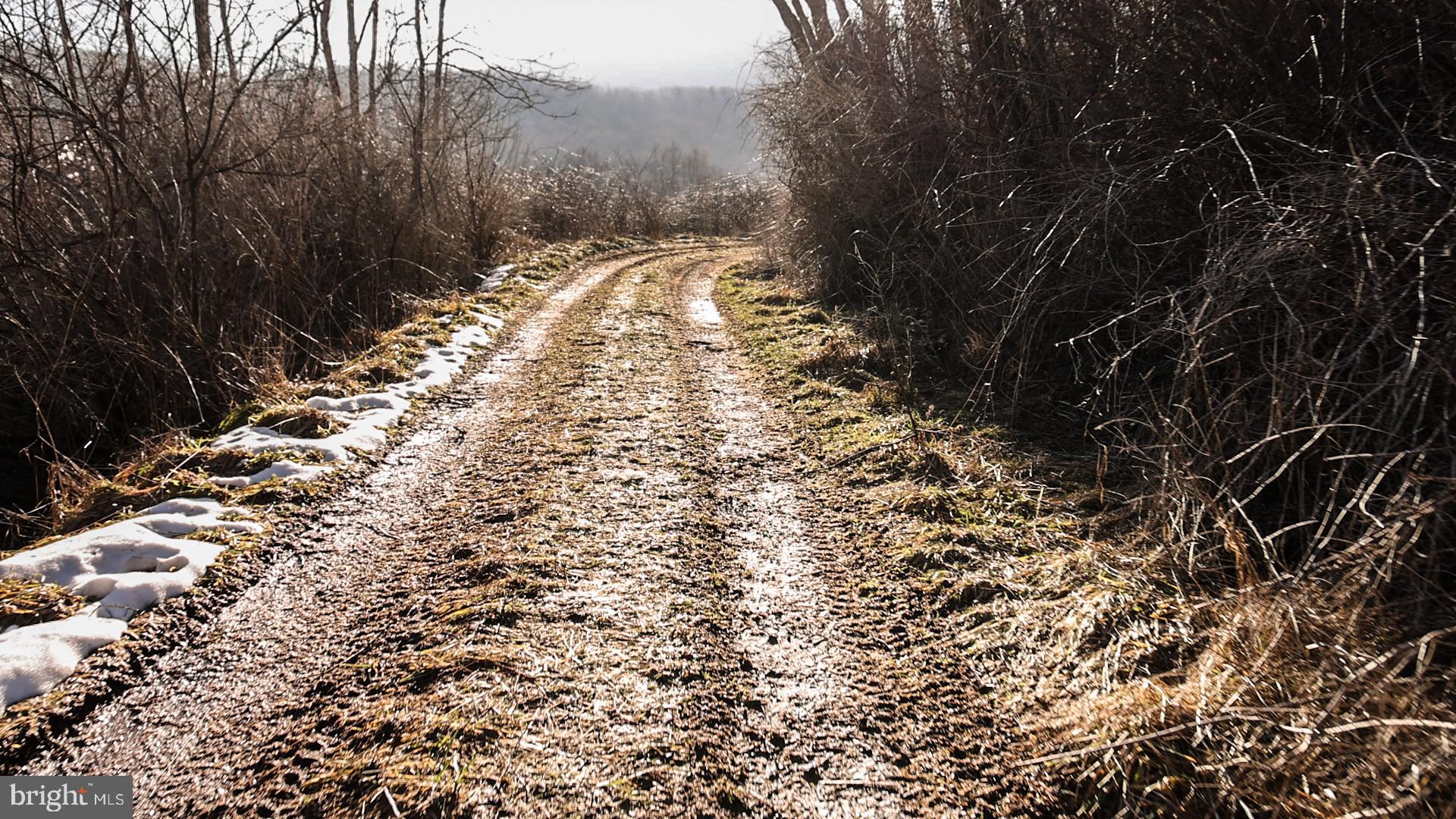 NONE AVAILABLE - Farm