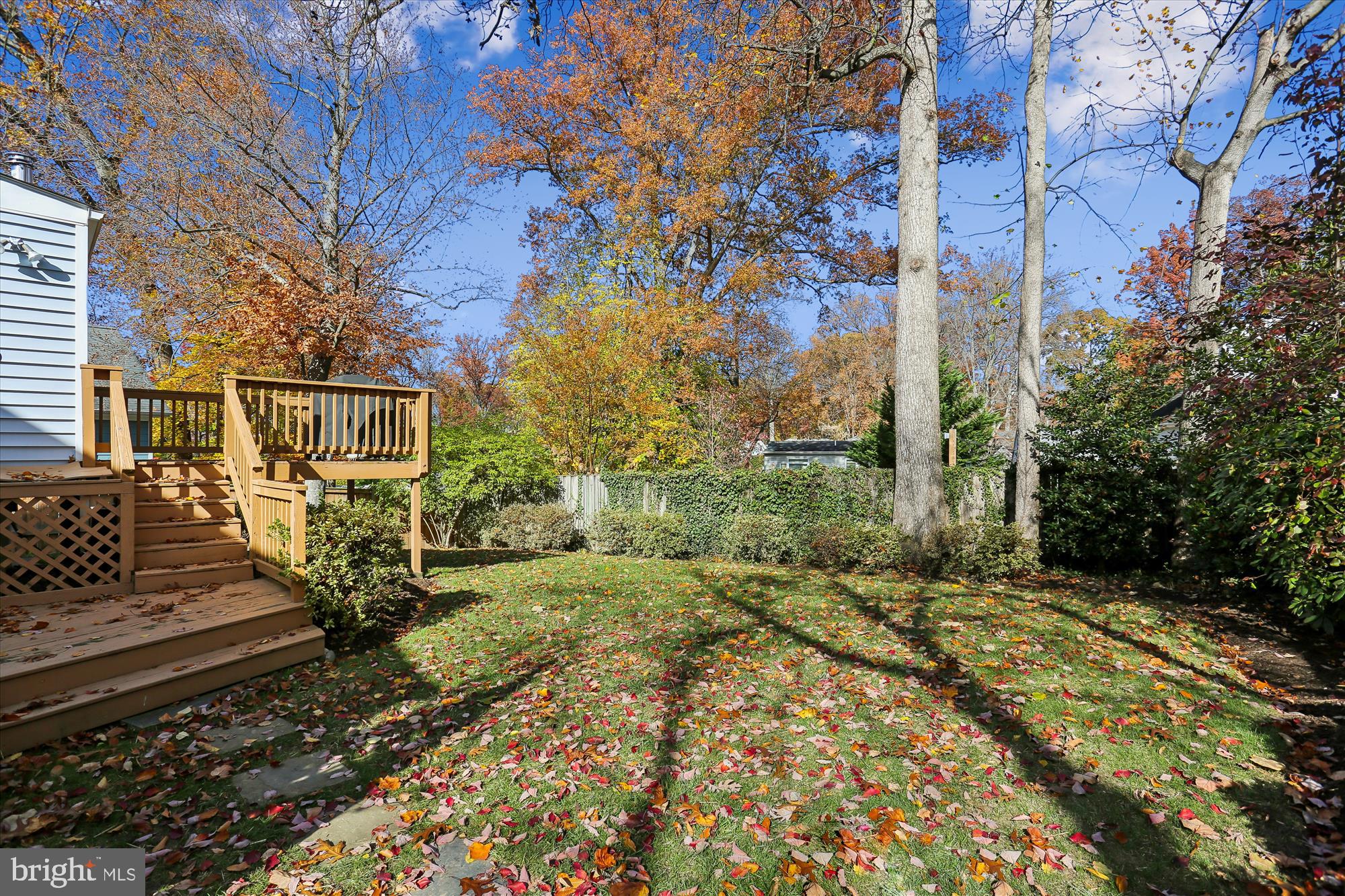 HOMEWOOD - Residential