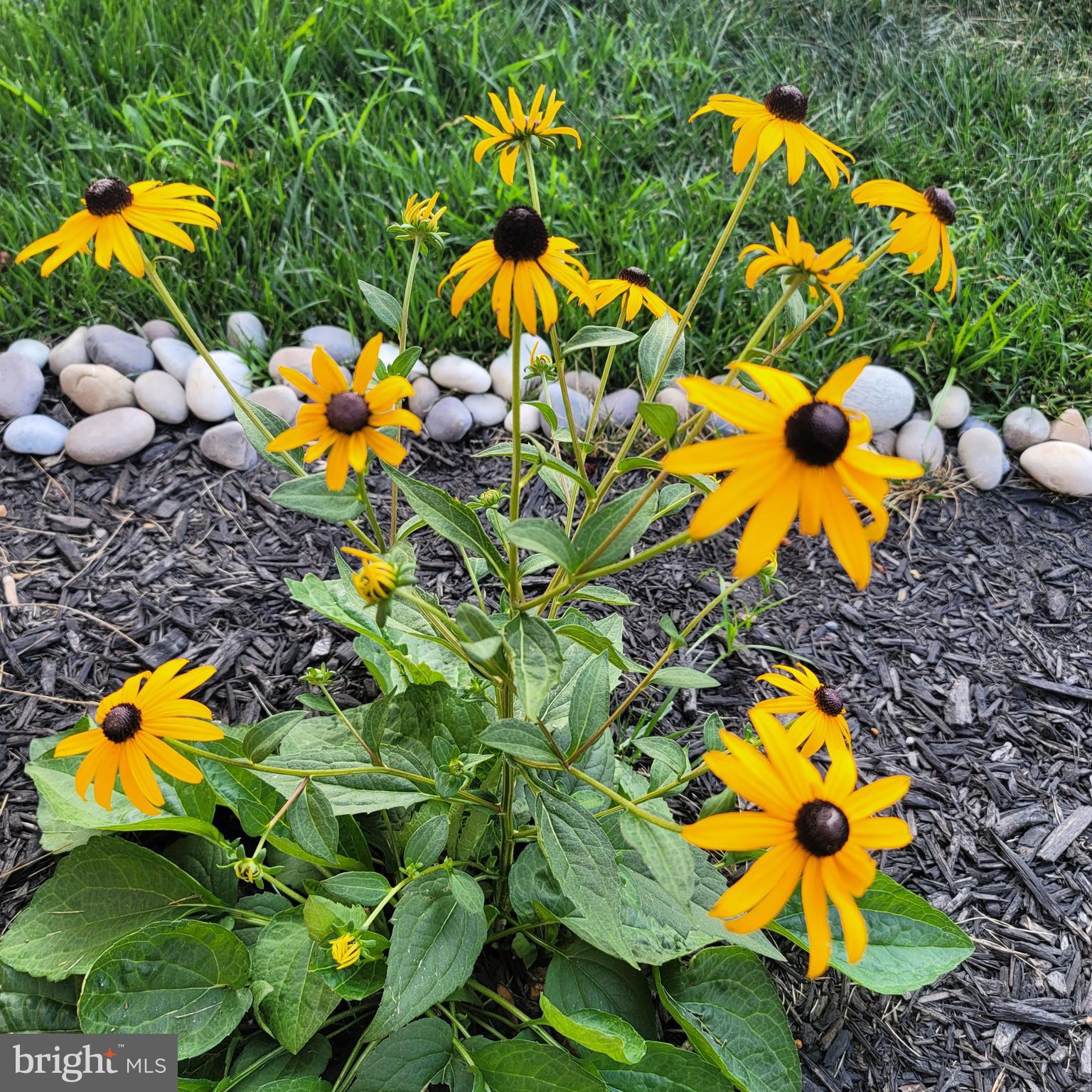 PAHAGACO HILLS - Residential