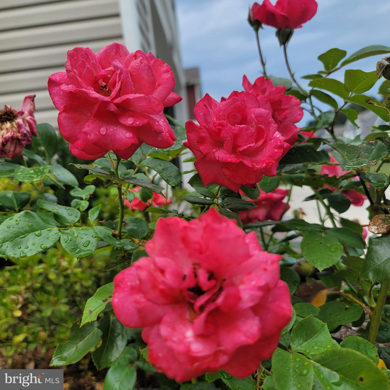 PAHAGACO HILLS - Residential