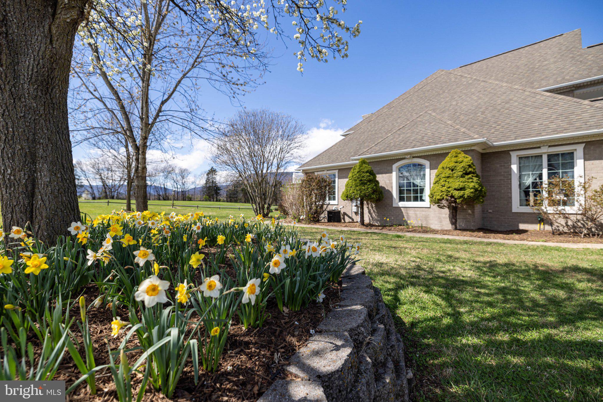 OH SHENANDOAH - Residential