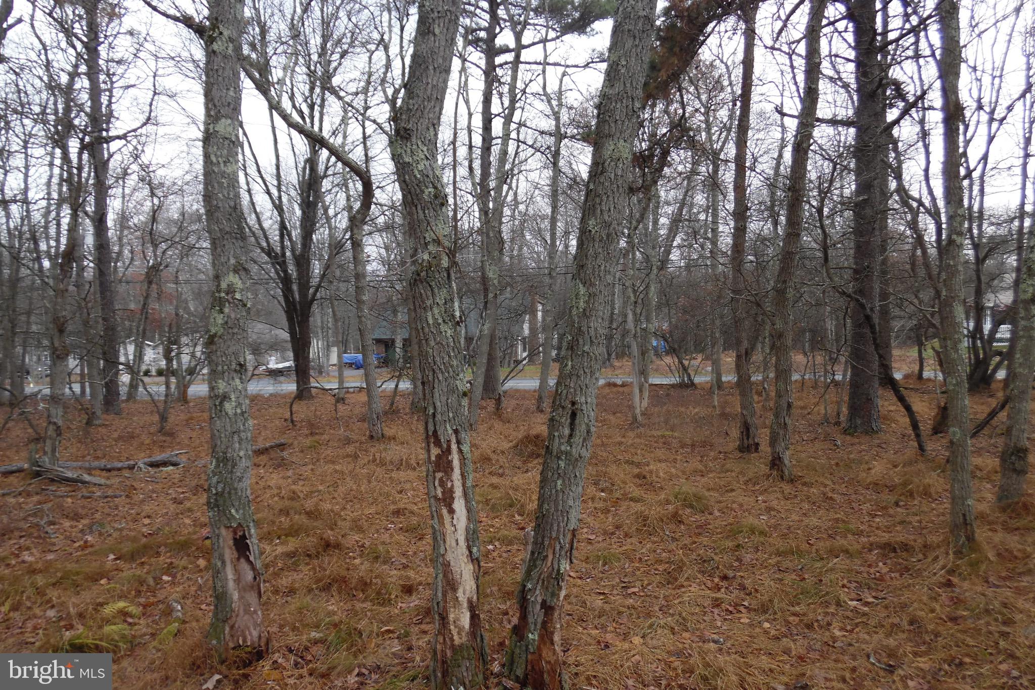 TOWAMENSING TRAILS - Land