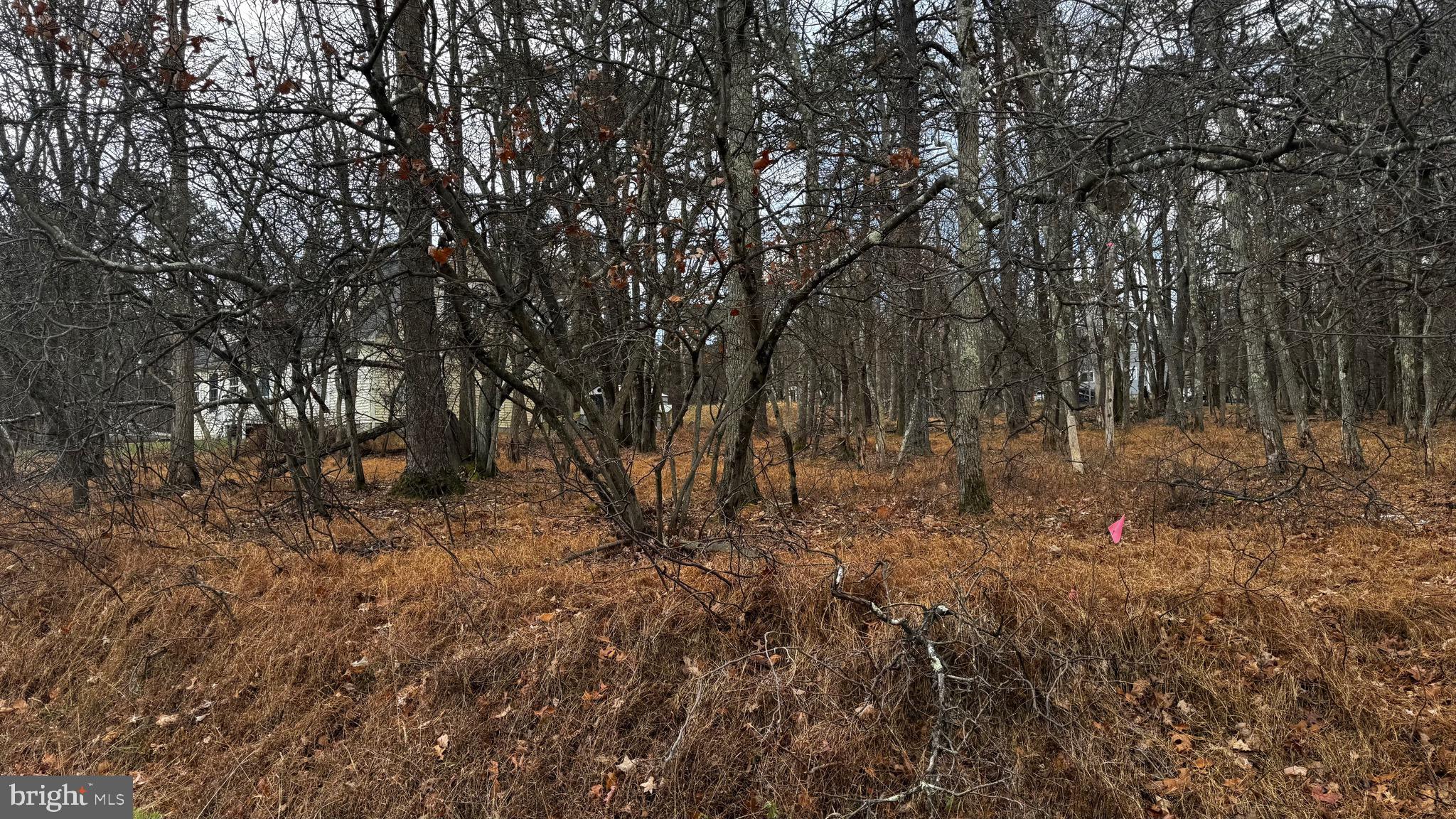 TOWAMENSING TRAILS - Land