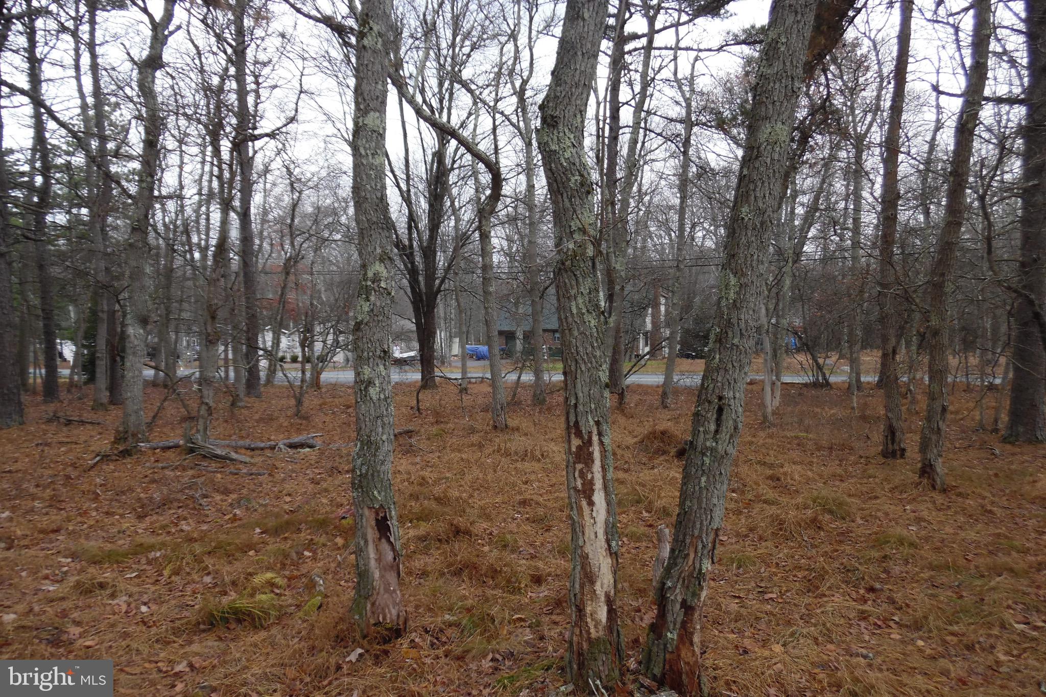 TOWAMENSING TRAILS - Land