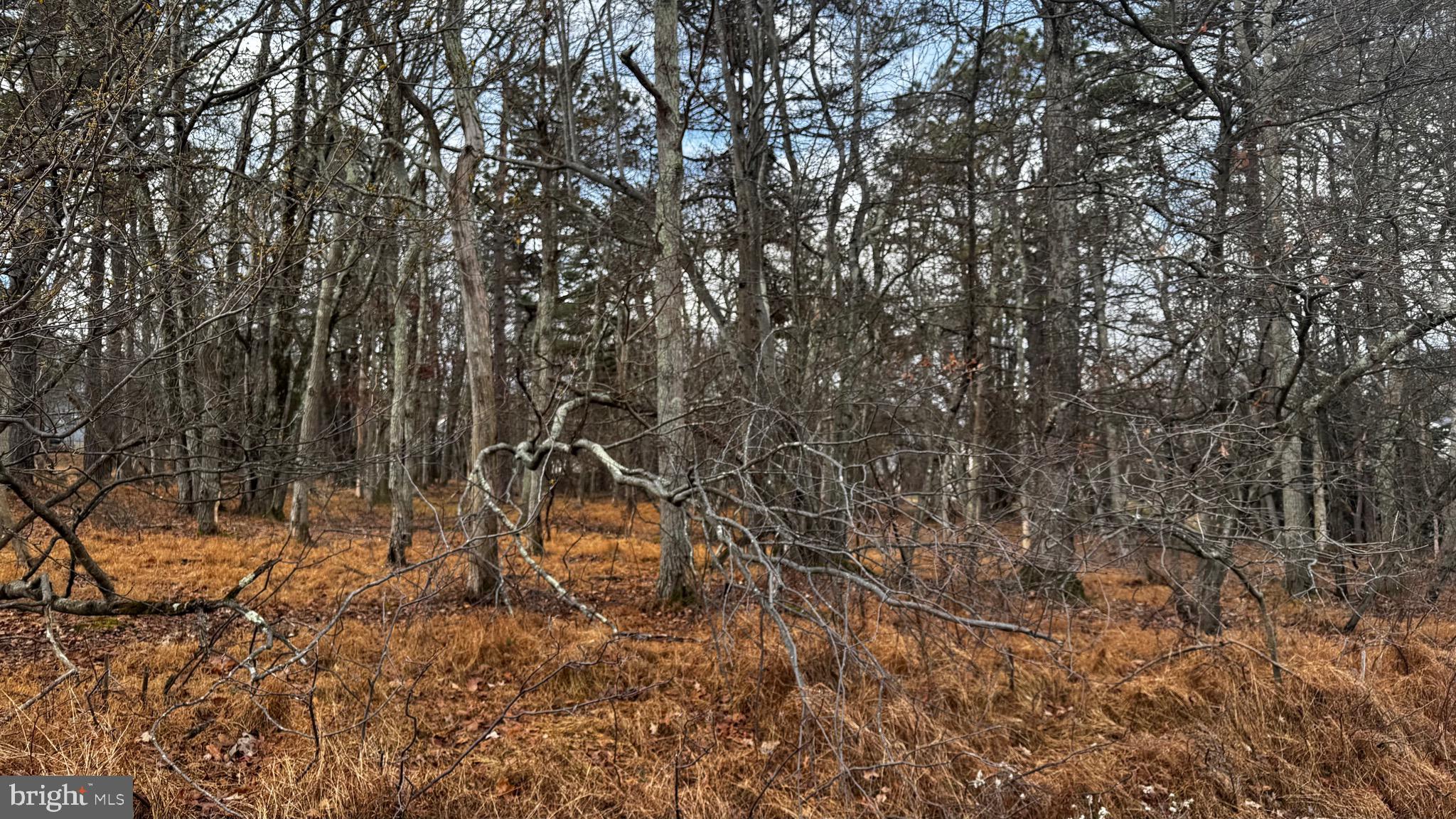 TOWAMENSING TRAILS - Land