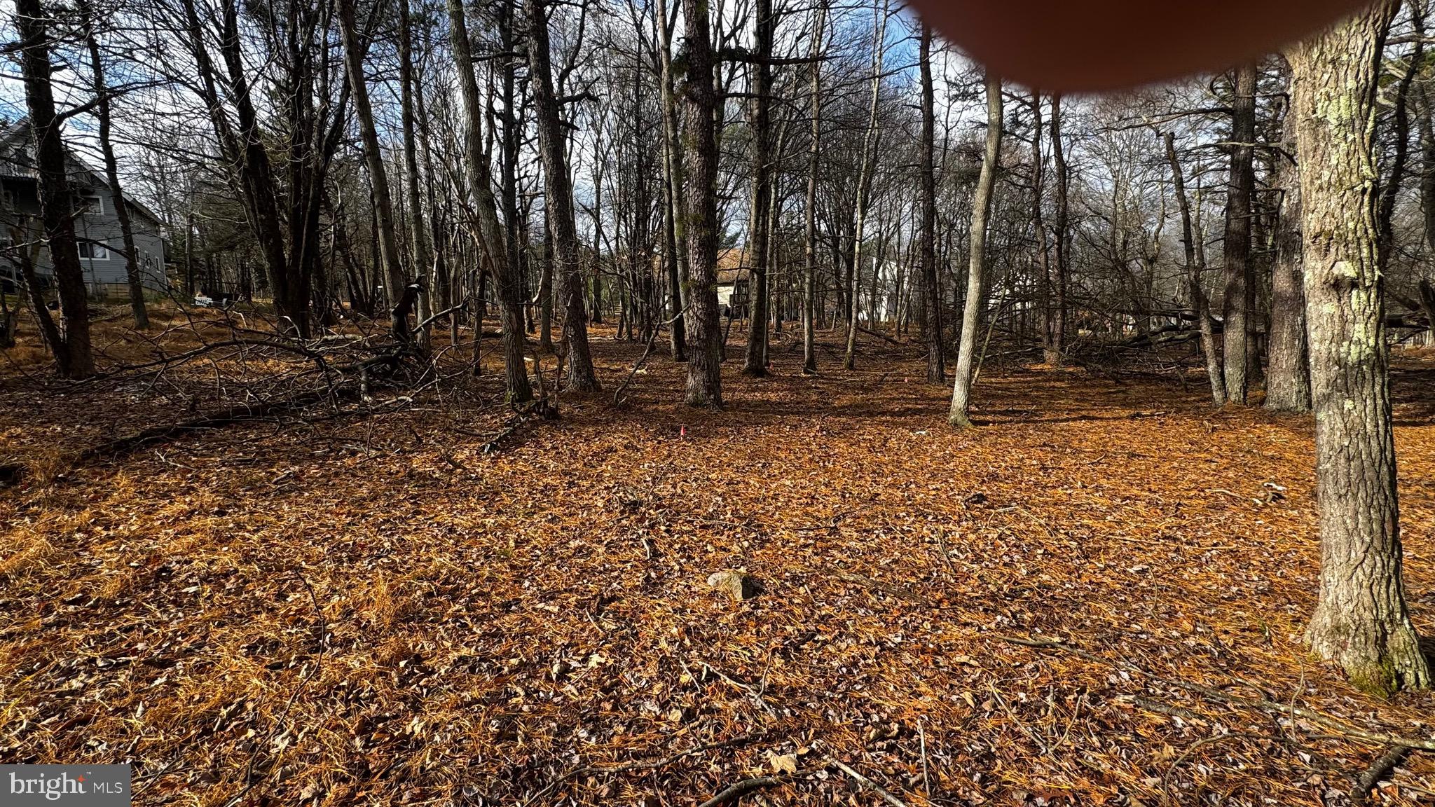 TOWAMENSING TRAILS - Land