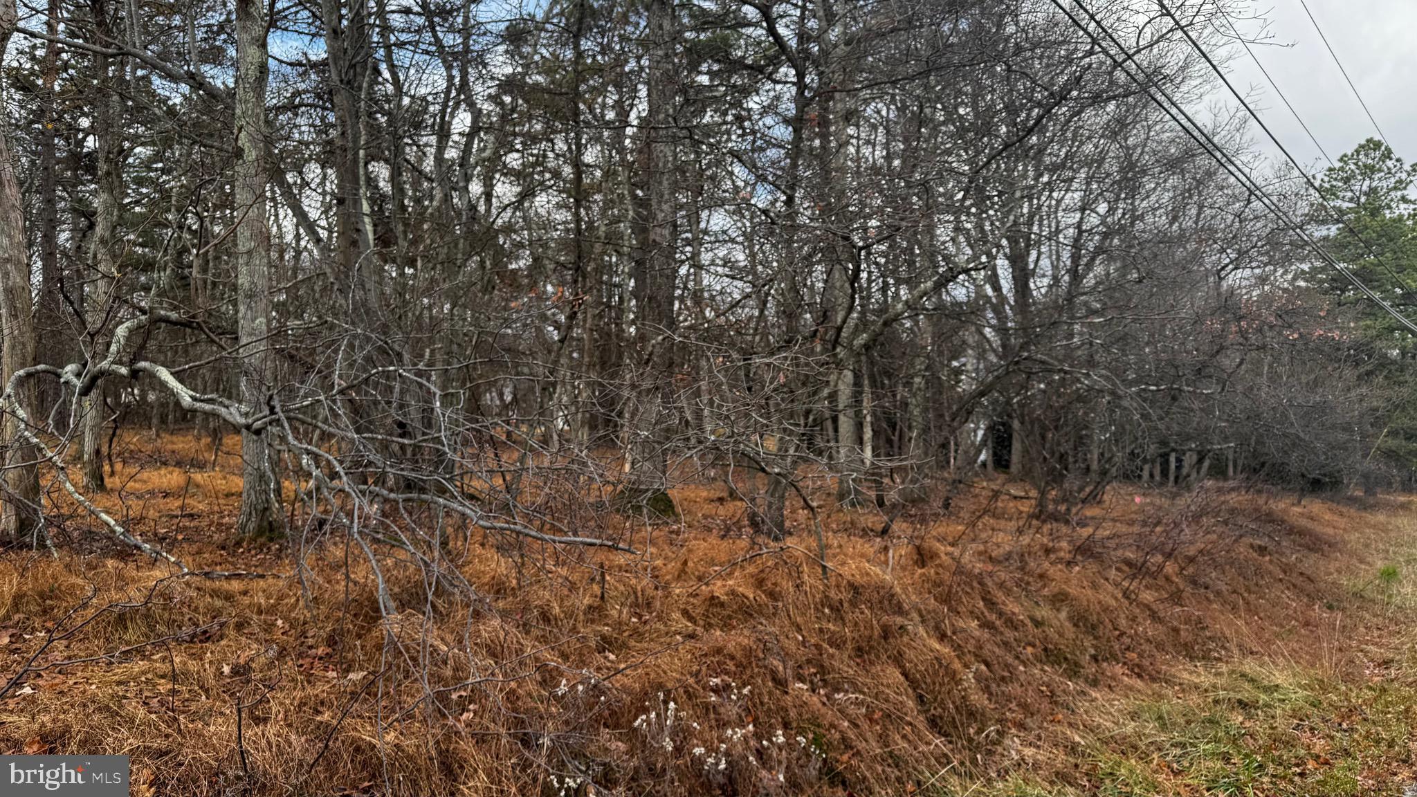 TOWAMENSING TRAILS - Land
