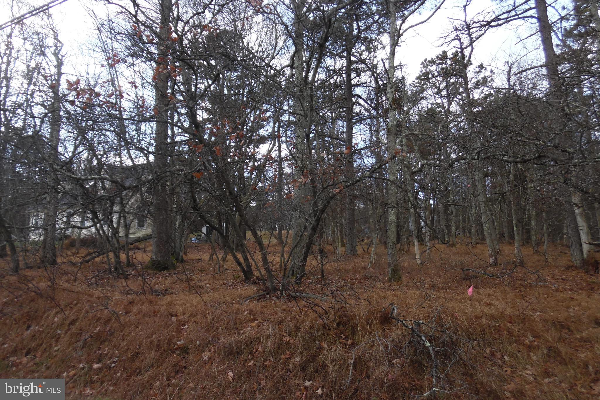 Lot D1922 OLD STAGE ROAD