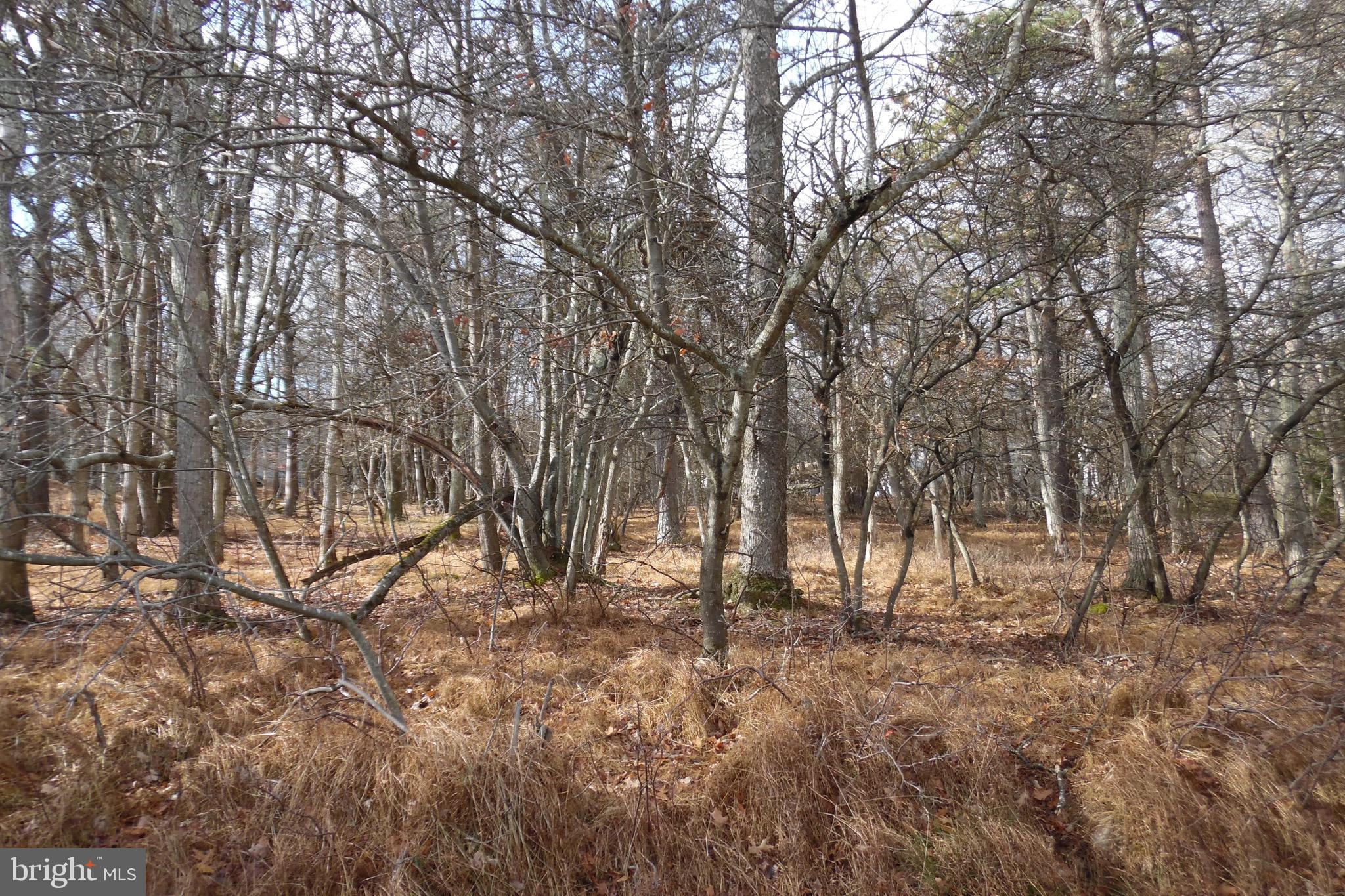 TOWAMENSING TRAILS - Land