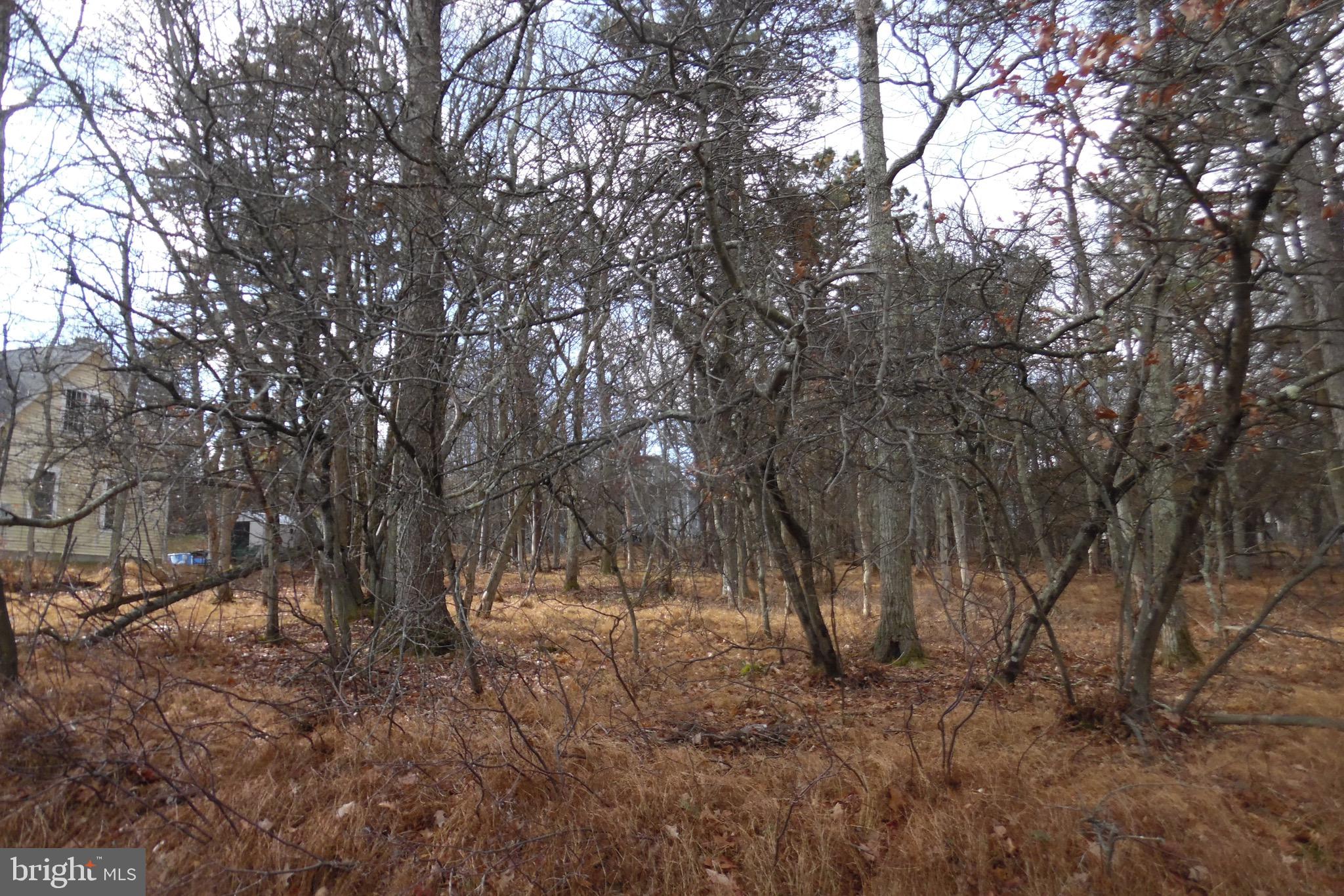 Lot D1922 OLD STAGE ROAD