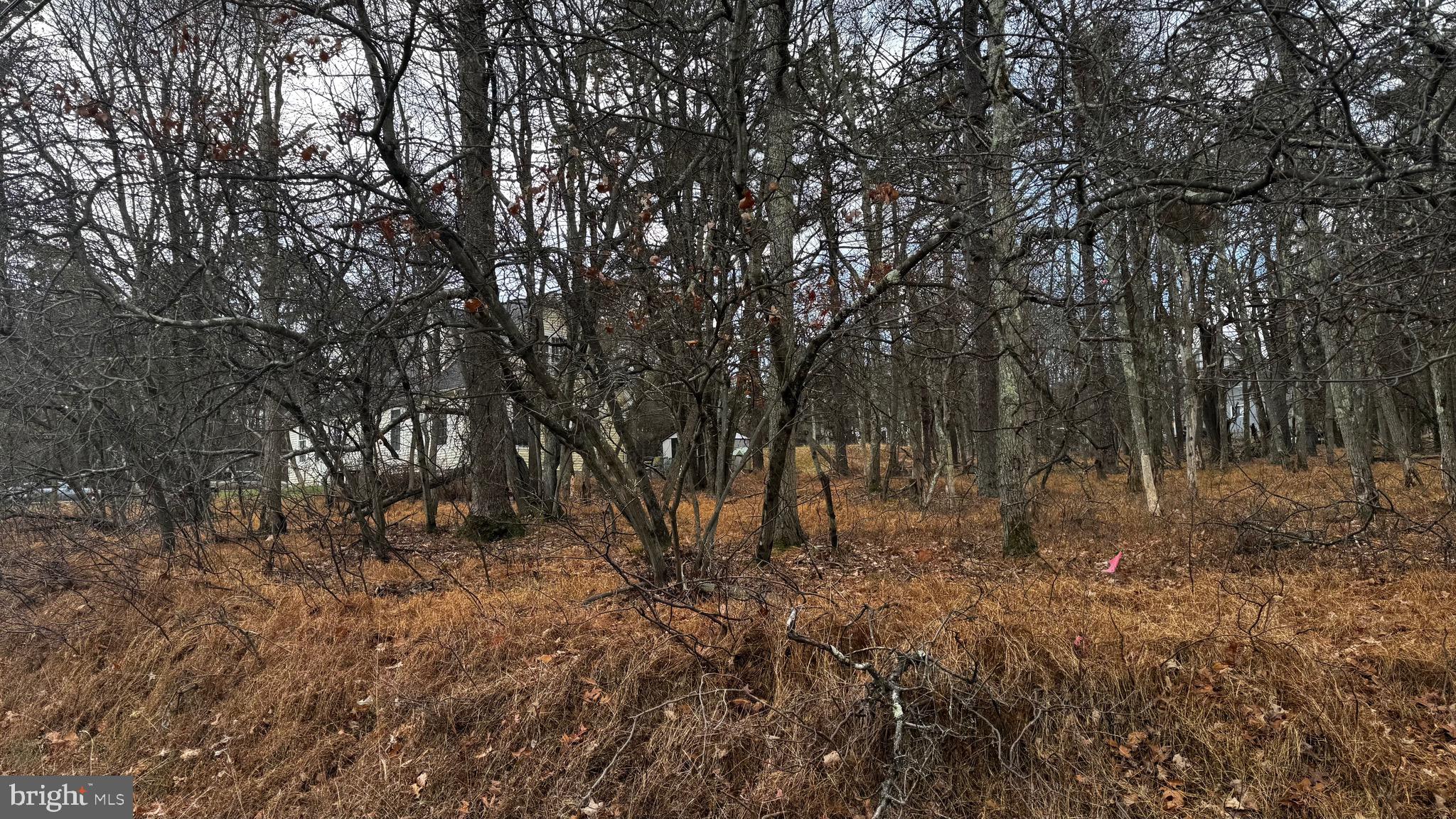 TOWAMENSING TRAILS - Land