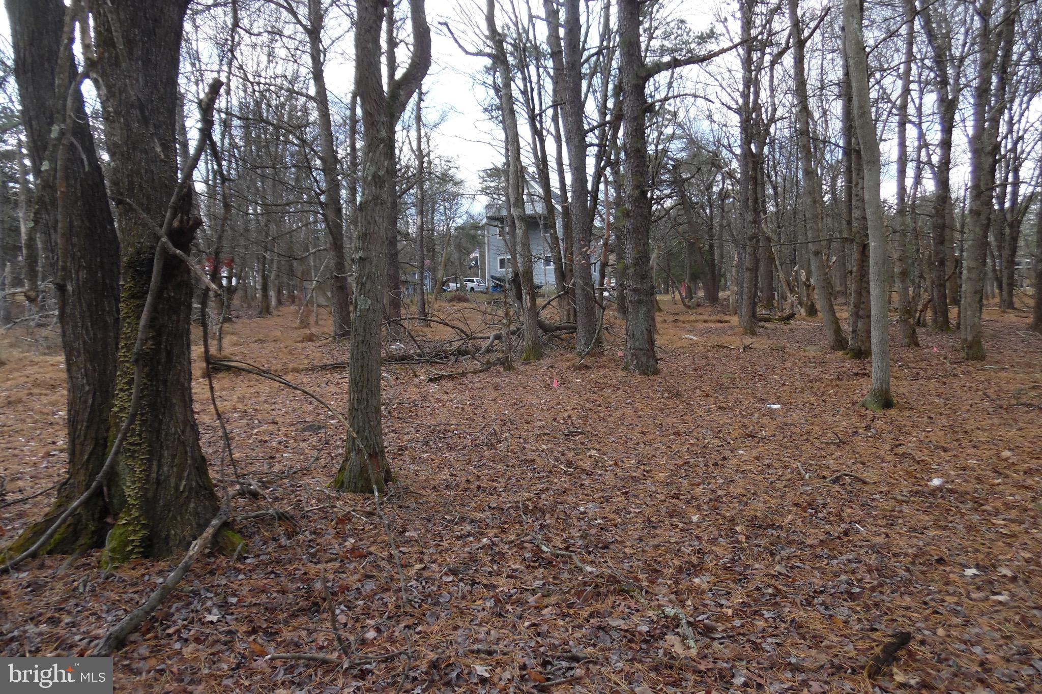 TOWAMENSING TRAILS - Land