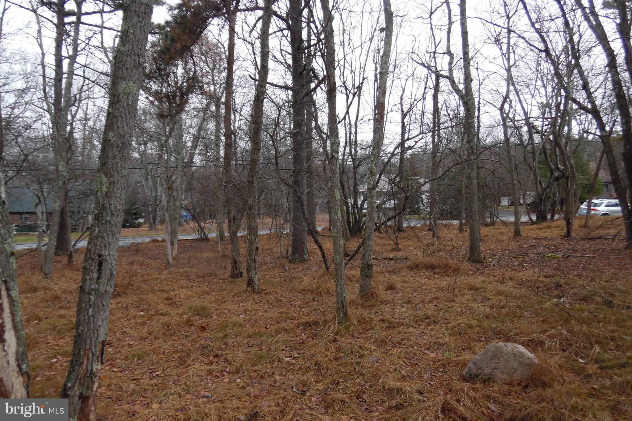 TOWAMENSING TRAILS - Land