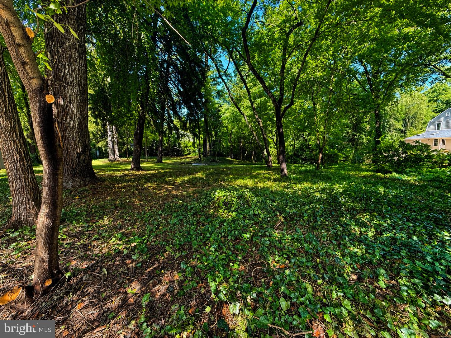 389 AVONDALE CIRCLE