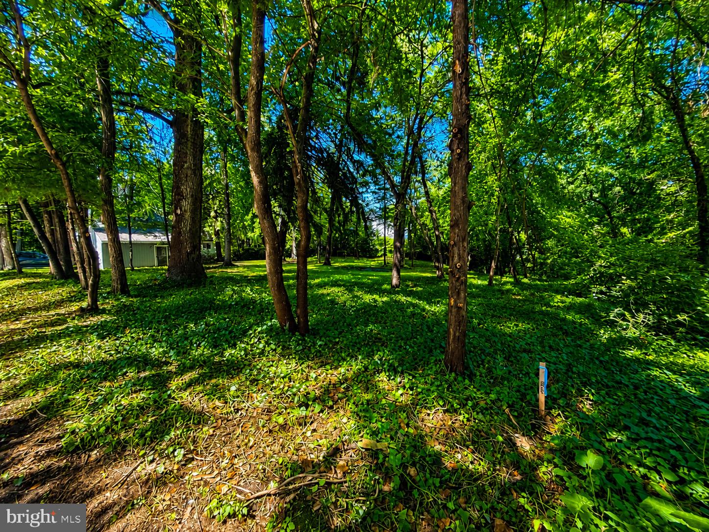 389 AVONDALE CIRCLE