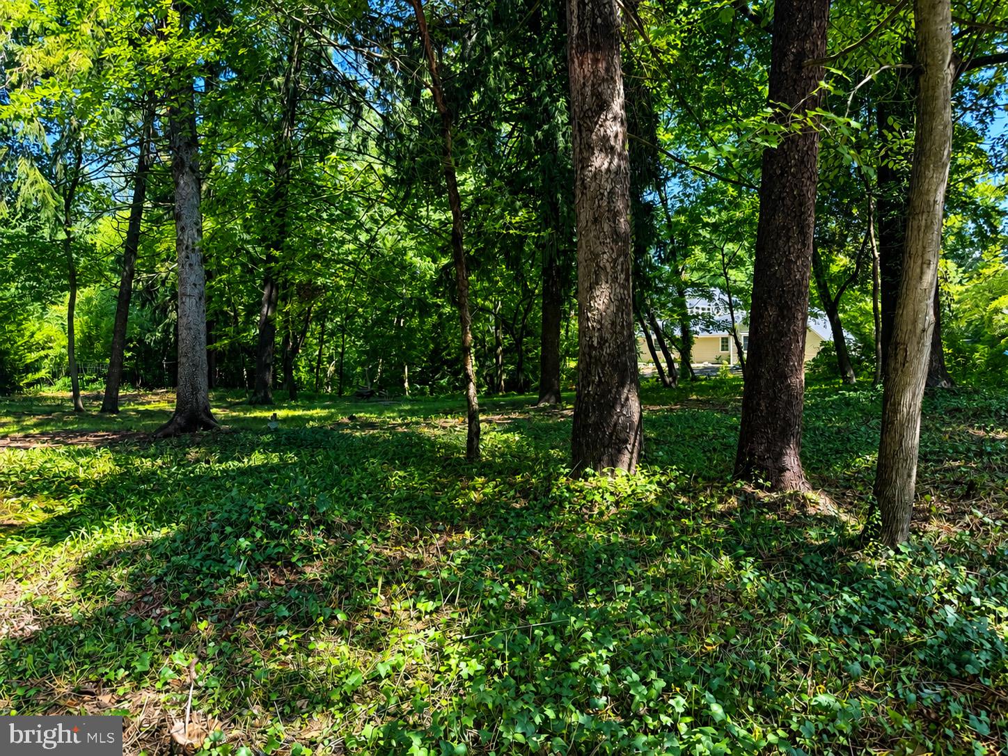 389 AVONDALE CIRCLE