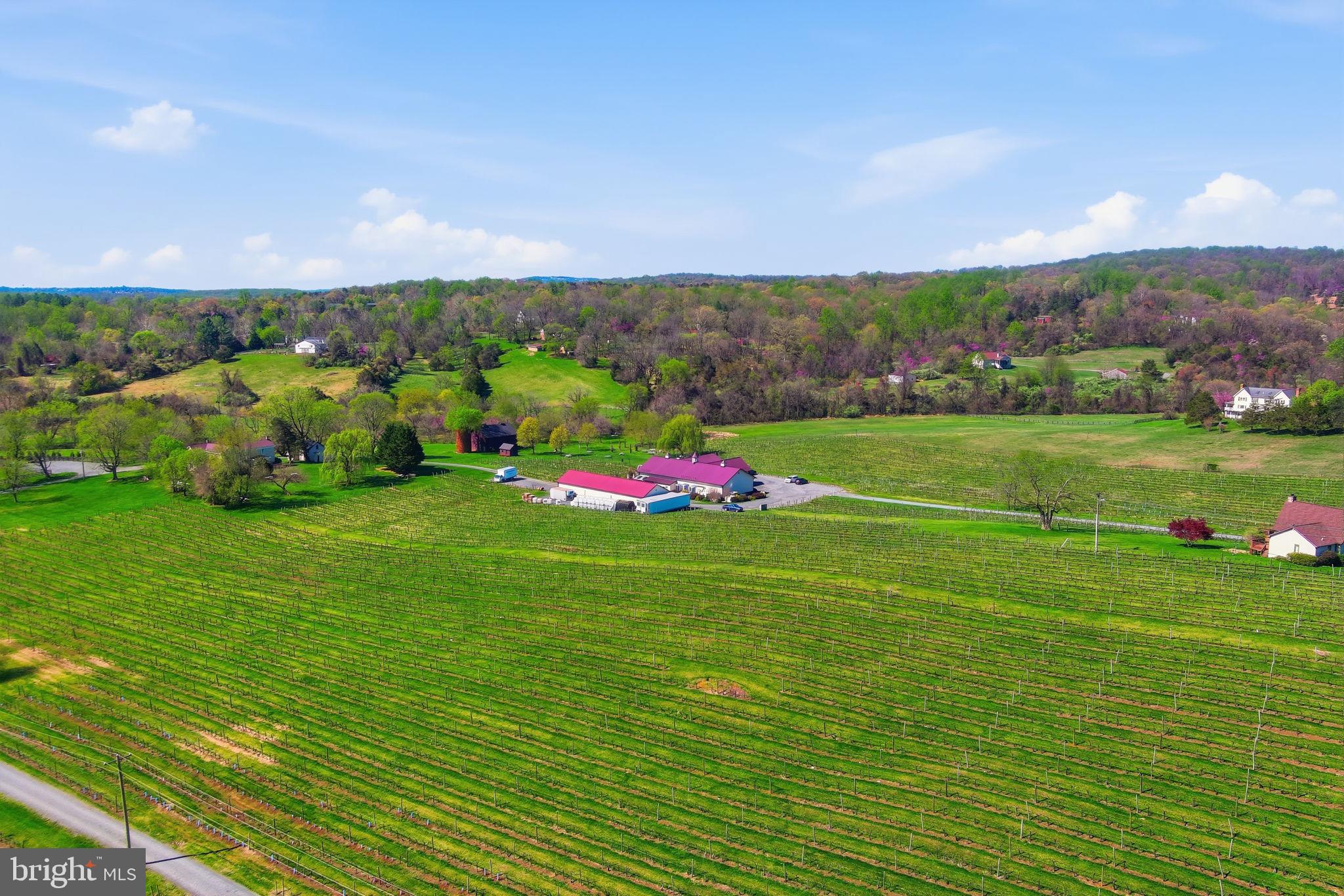 MOUNT HOPE ESTATES - Residential