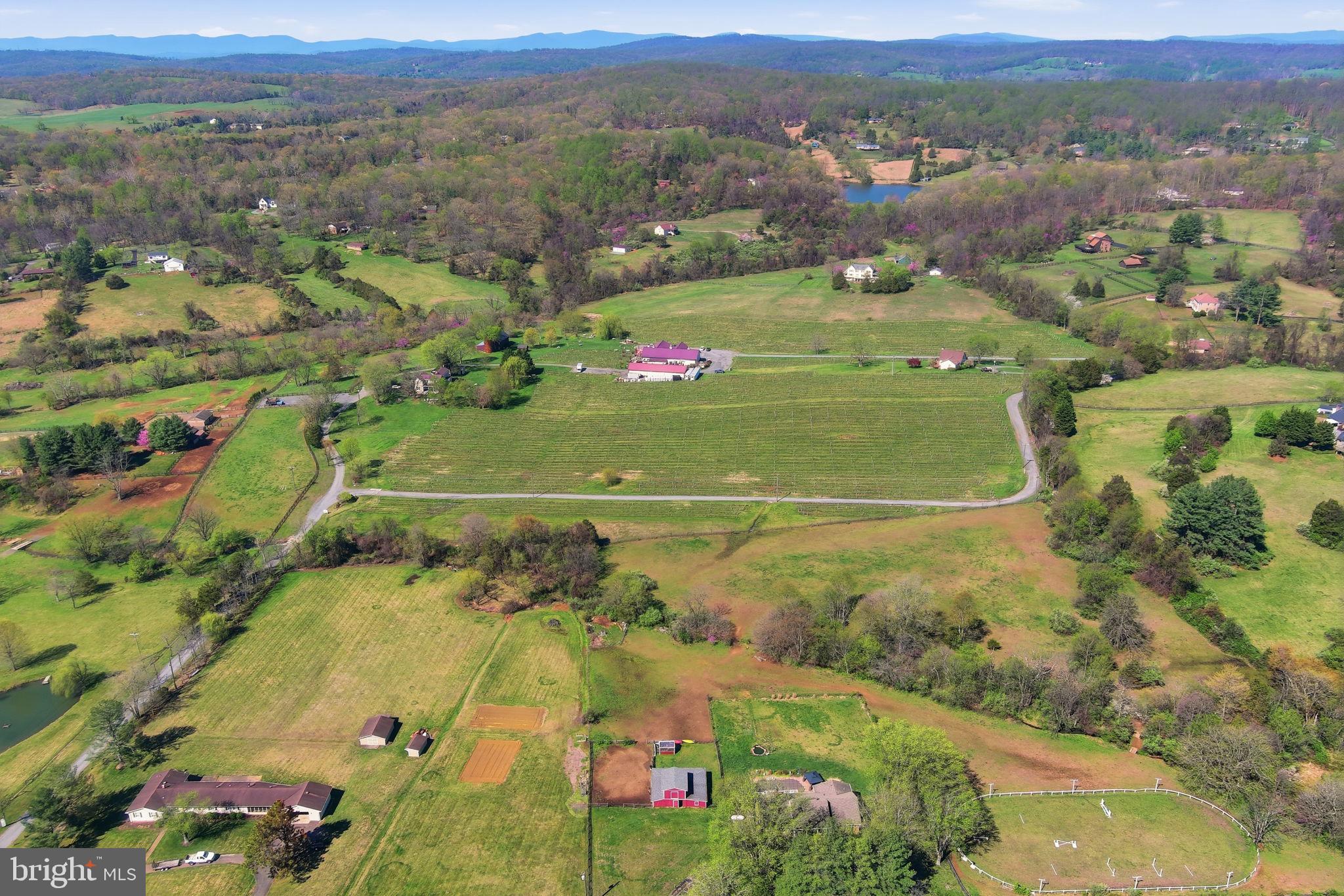 MOUNT HOPE ESTATES - Residential