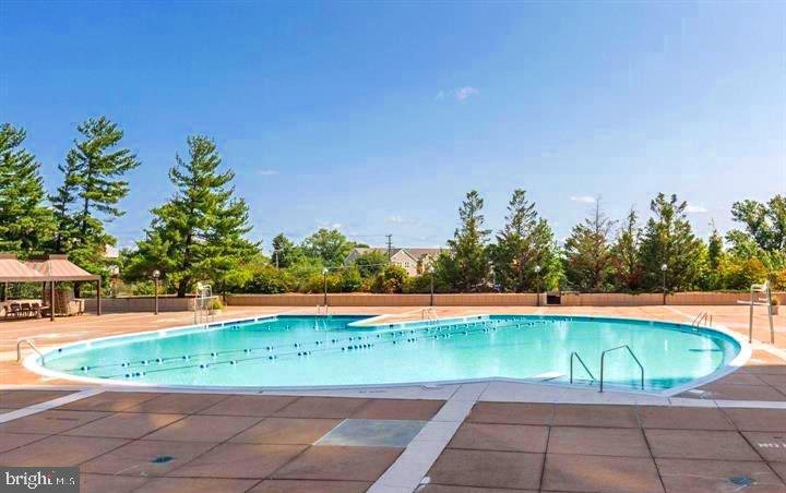 SKYLINE PLAZA - Residential Lease