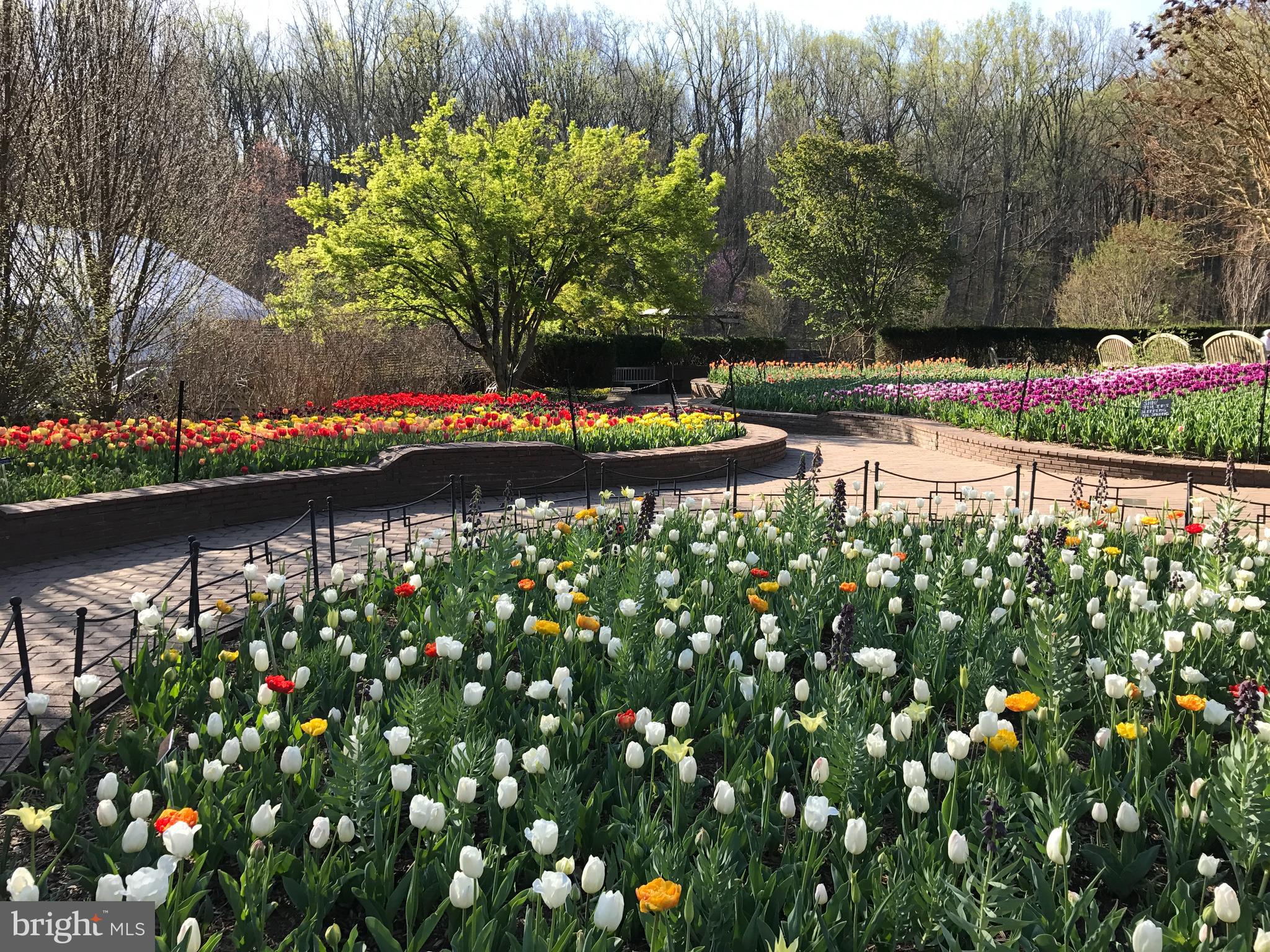 WINDING ORCHARD - Residential