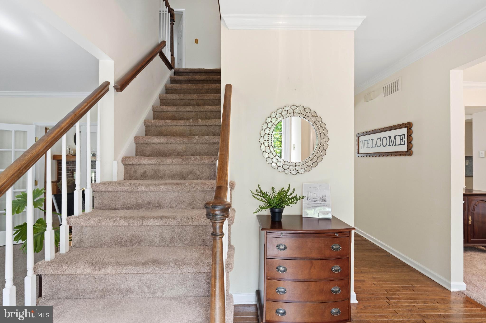 51 SNAPDRAGON DRIVE