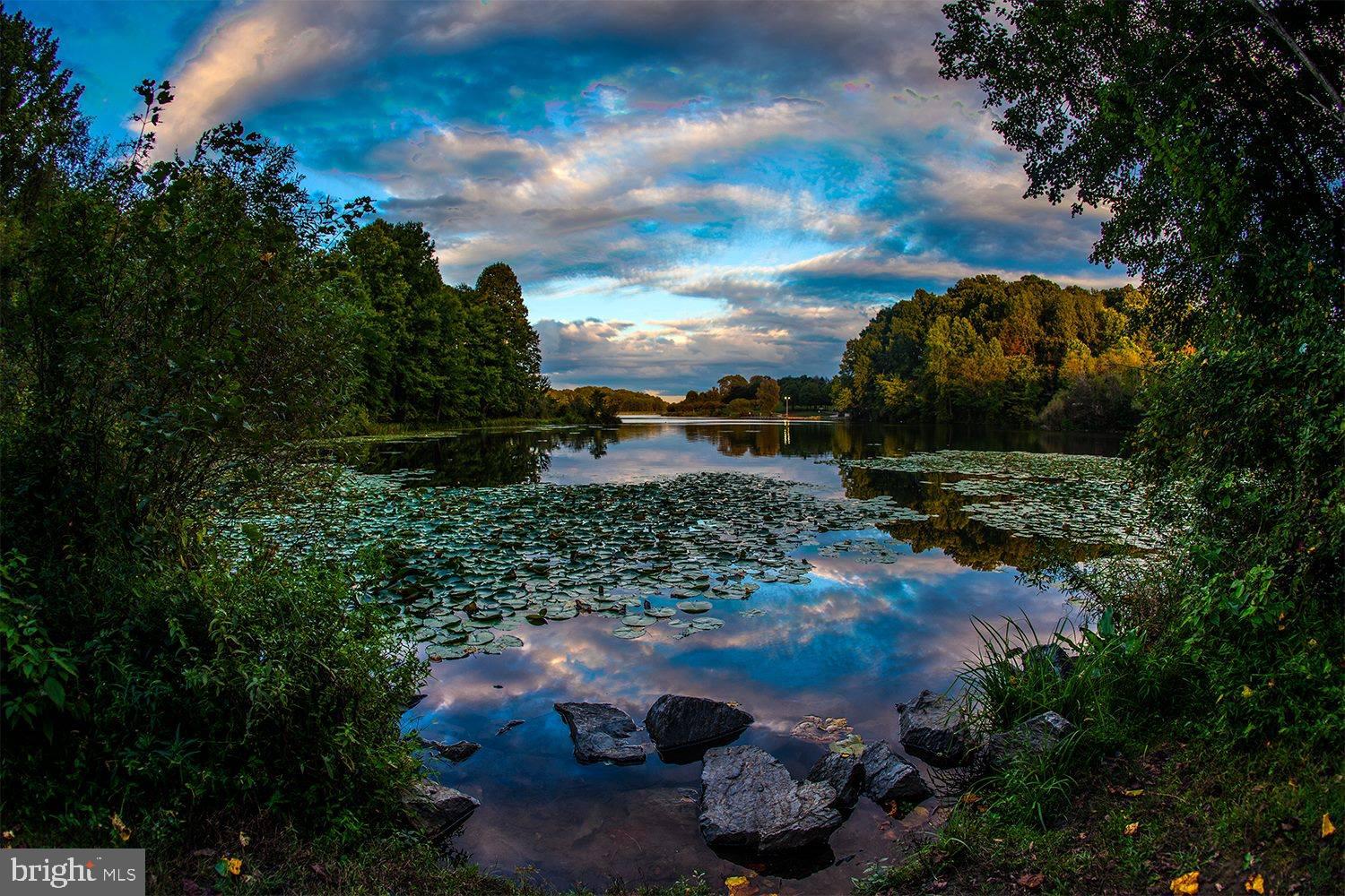 OVERLOOK AT CENTENNIAL PARK - Residential