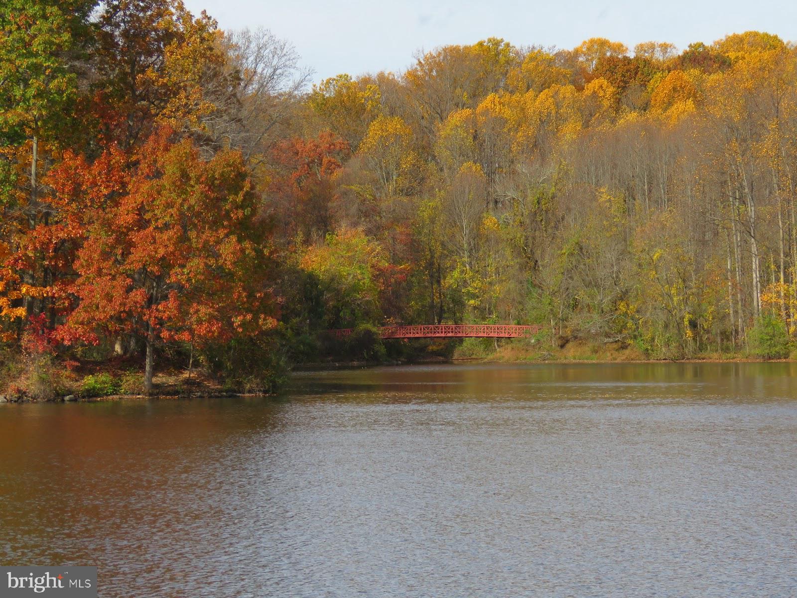 OVERLOOK AT CENTENNIAL PARK - Residential