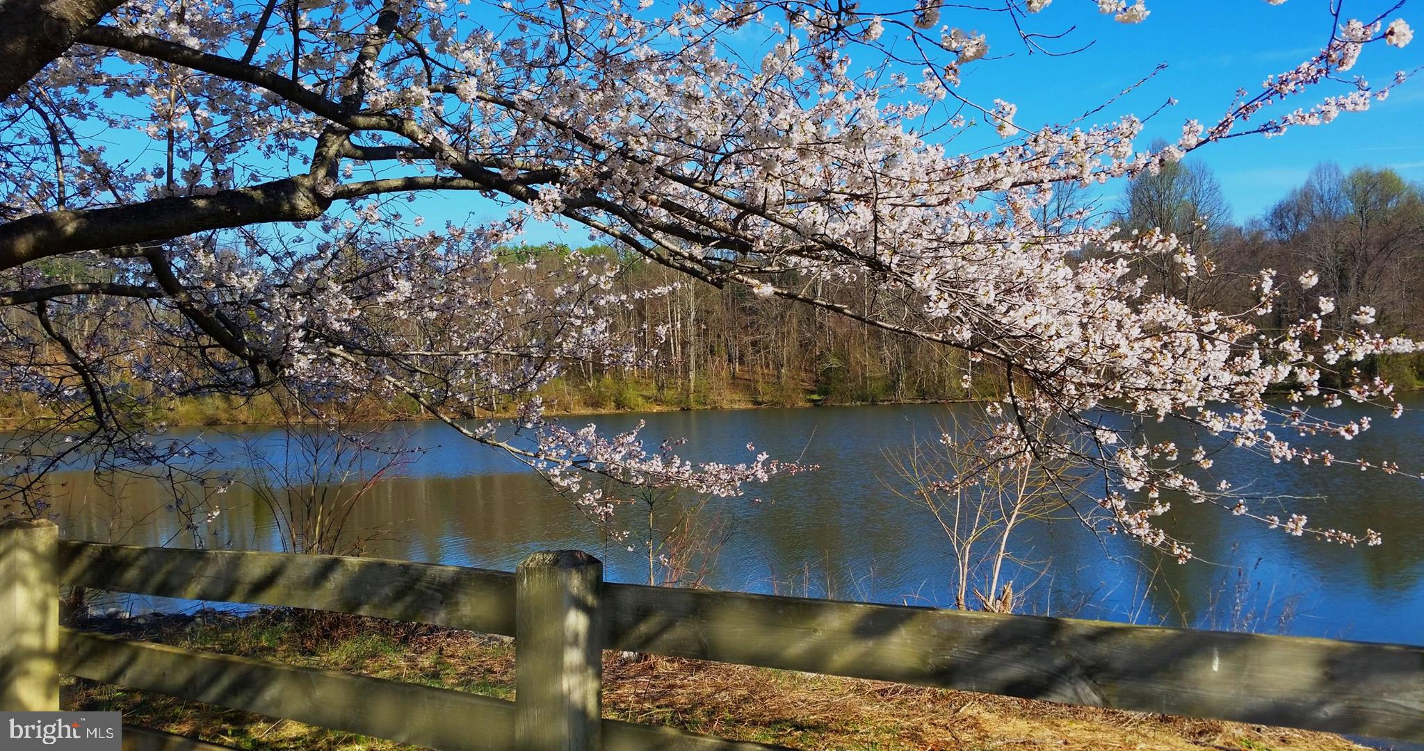 OVERLOOK AT CENTENNIAL PARK - Residential