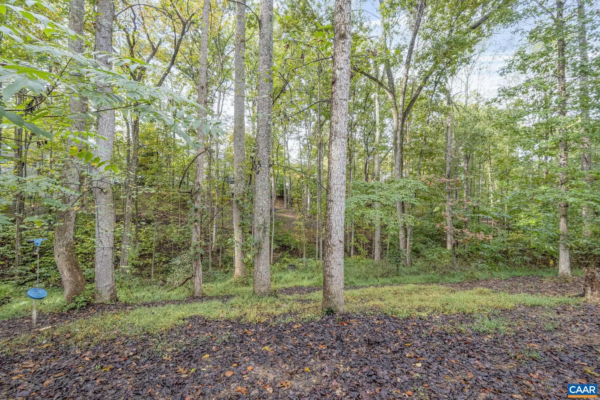 LAKE MONTICELLO - Residential